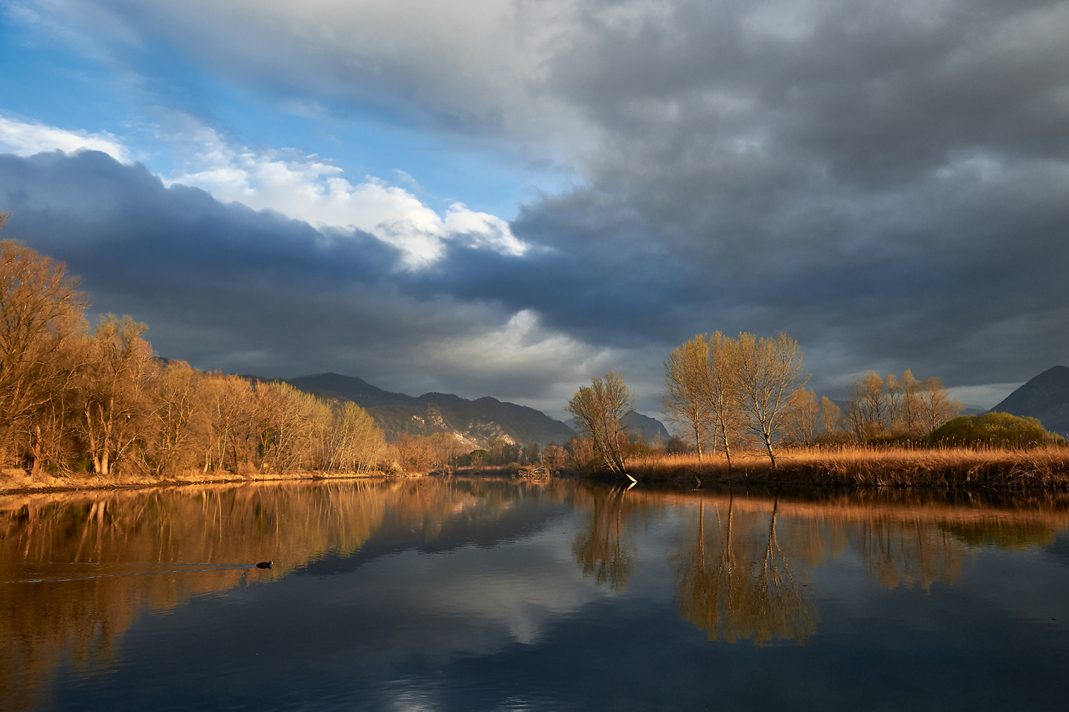 Thunderstorm in sight