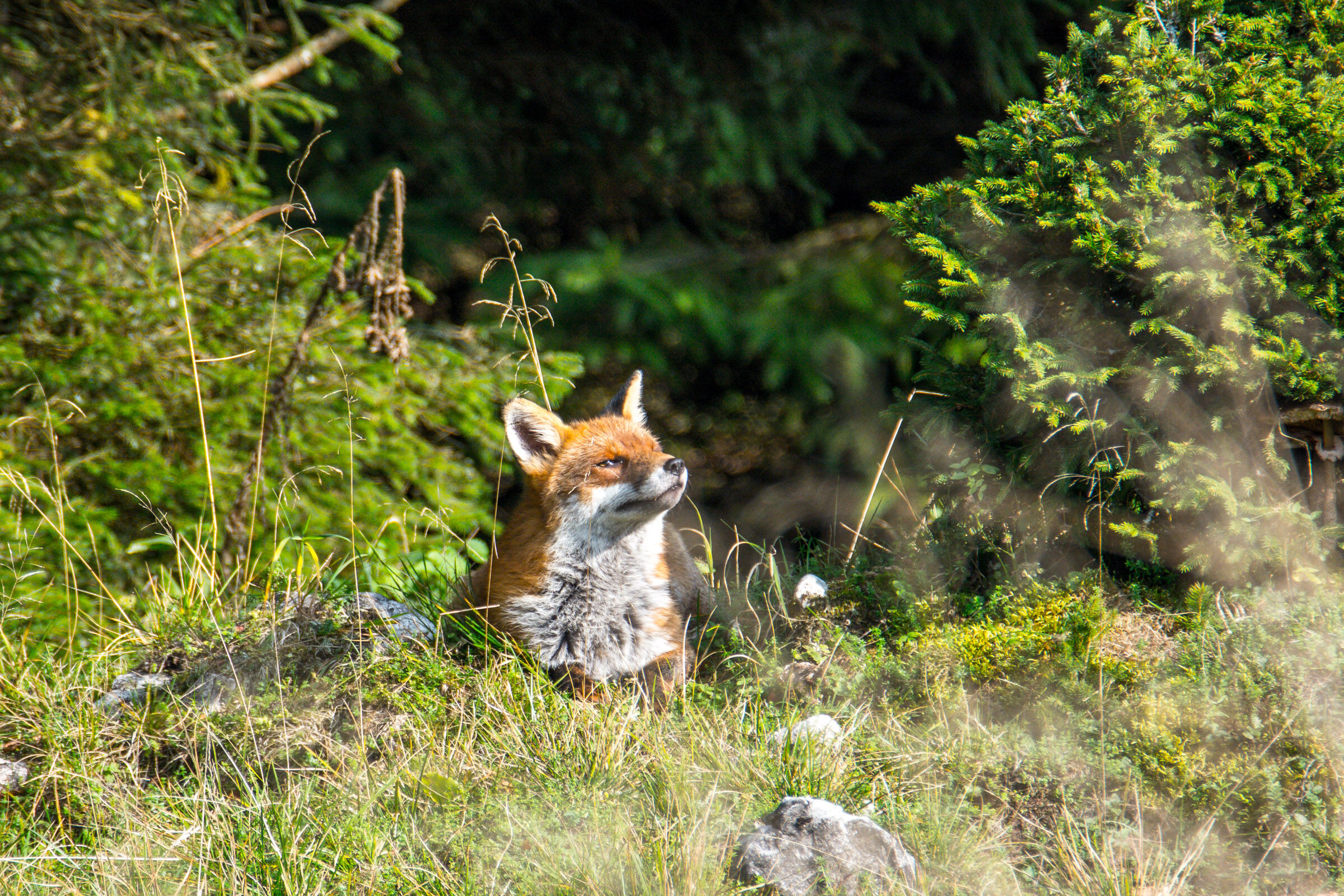 All'ombra dell'ultimo sole