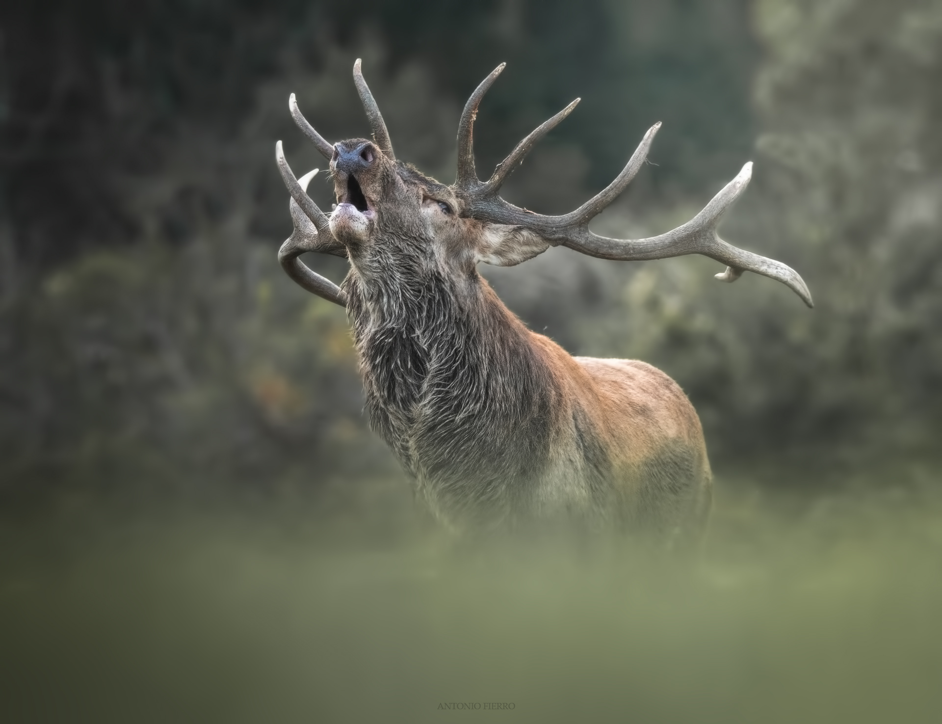 The power of craving