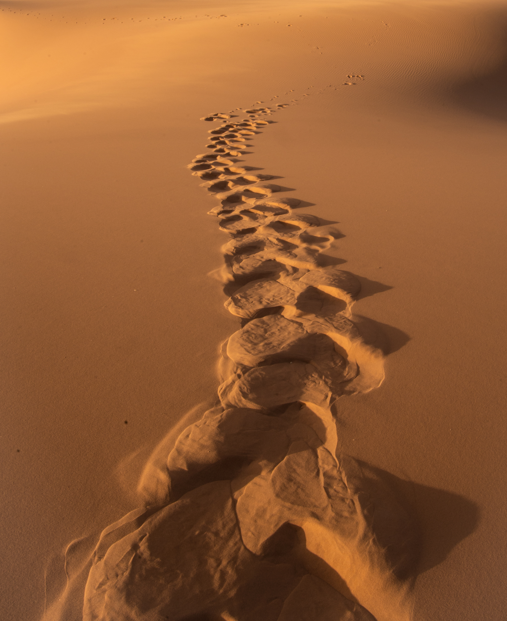 Tracks on the sand