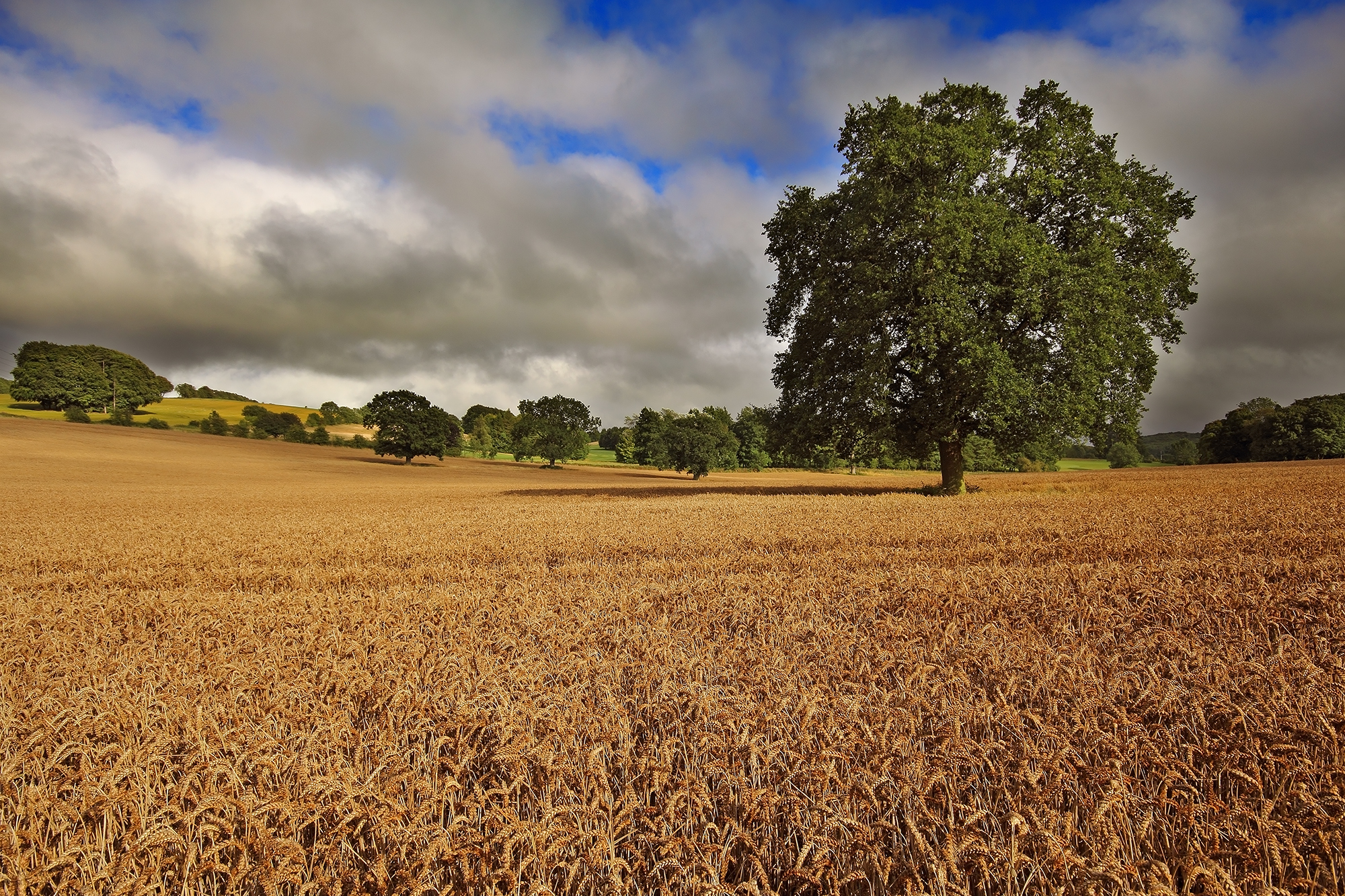 Gloucestershire countryside