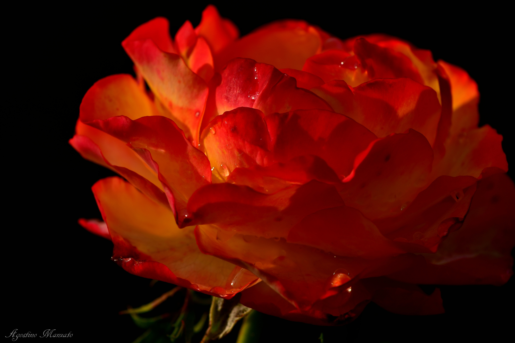 In the garden of Les belles de Mai