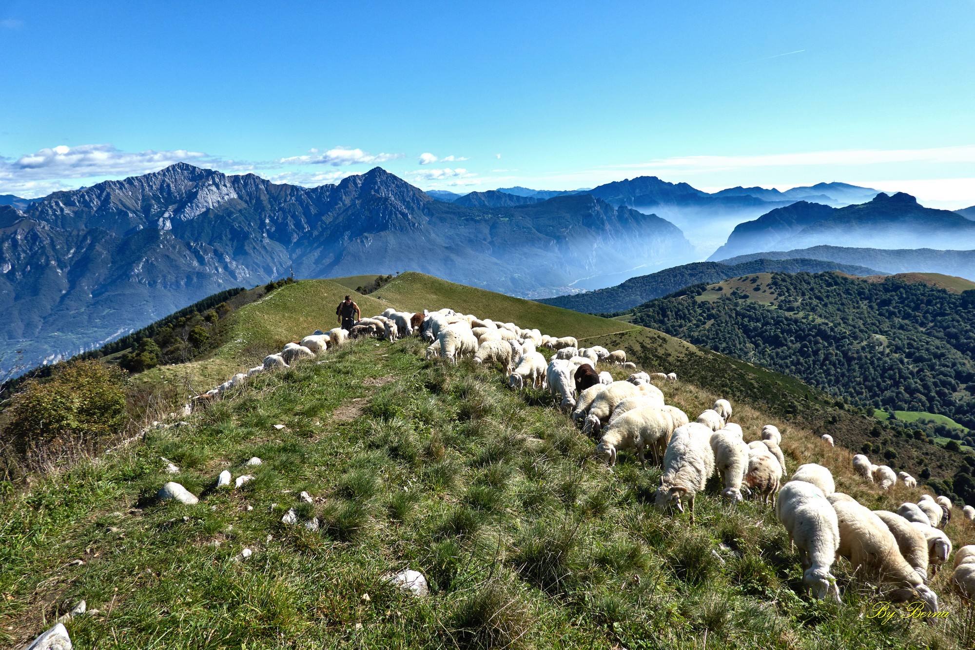 Gregge on Mount San Primo