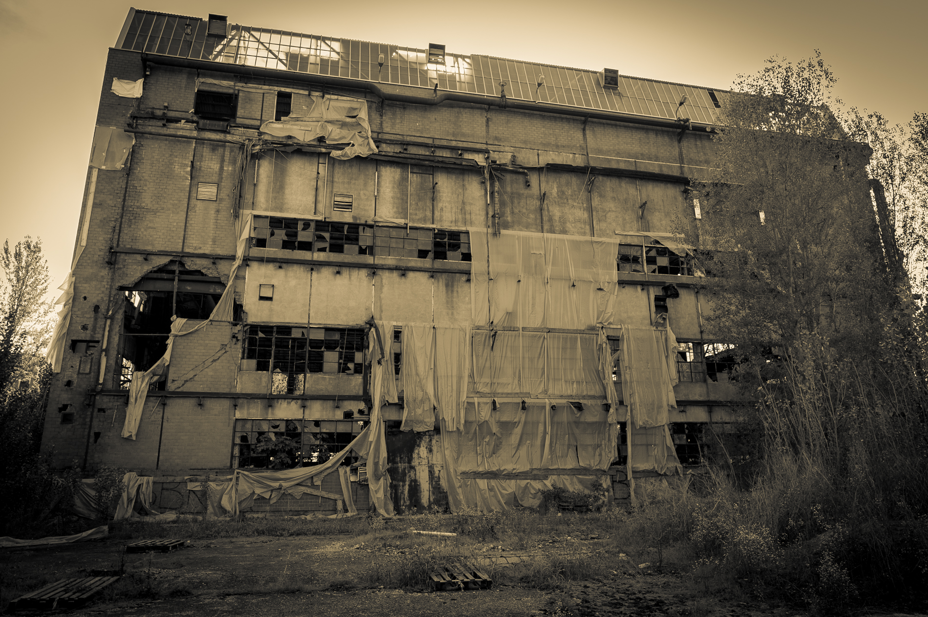 Abandoned factory 6
