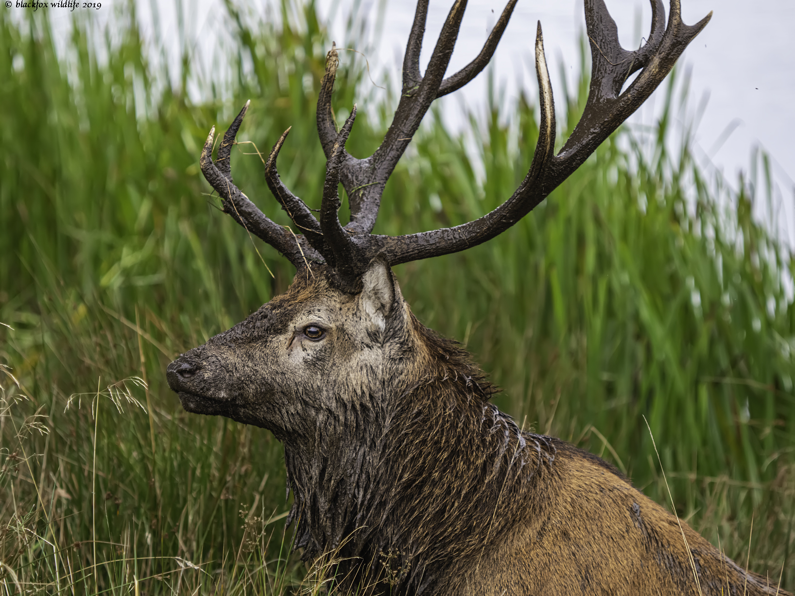 scendere e sporcarsi