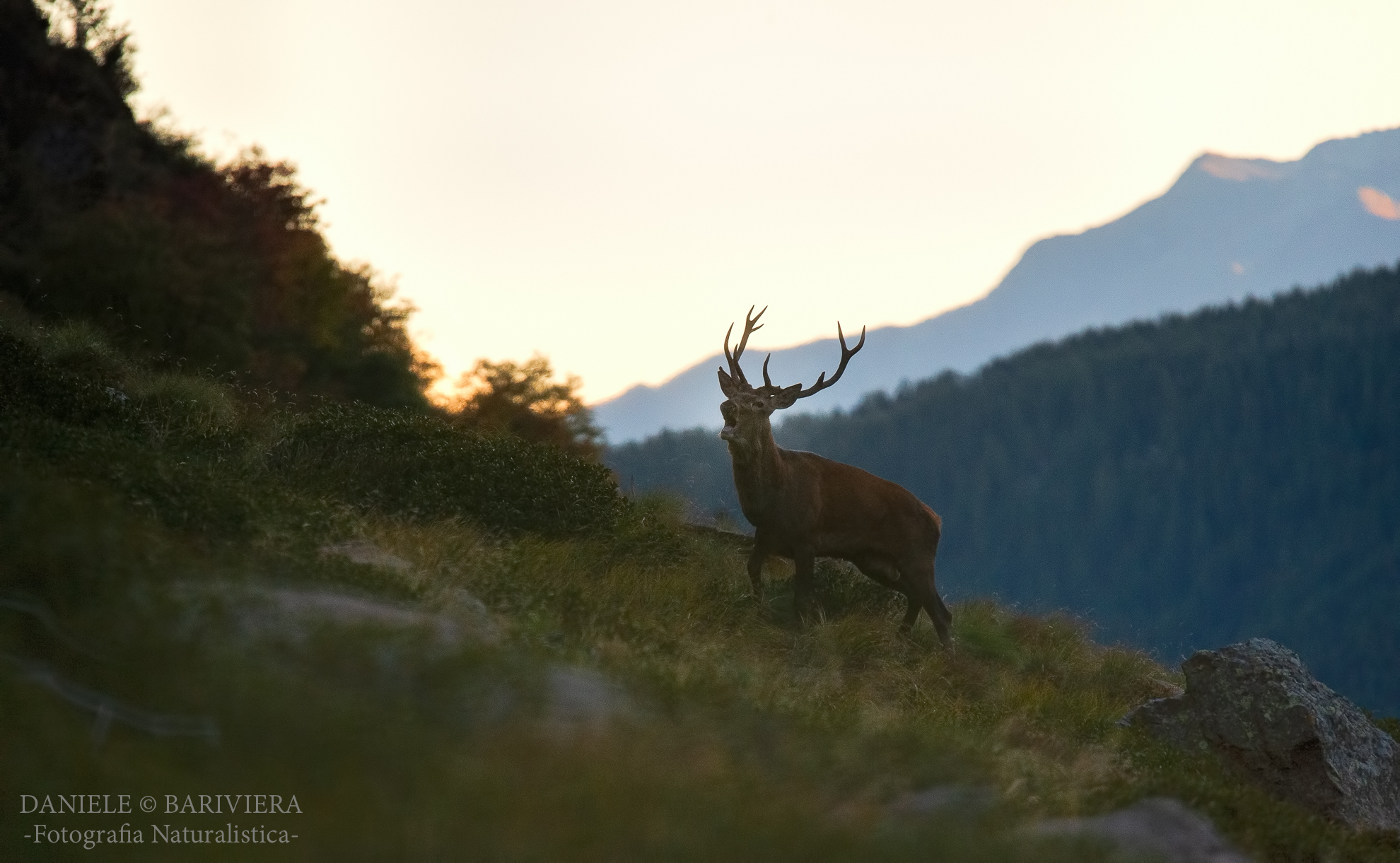 Ultimo fiato di giornata