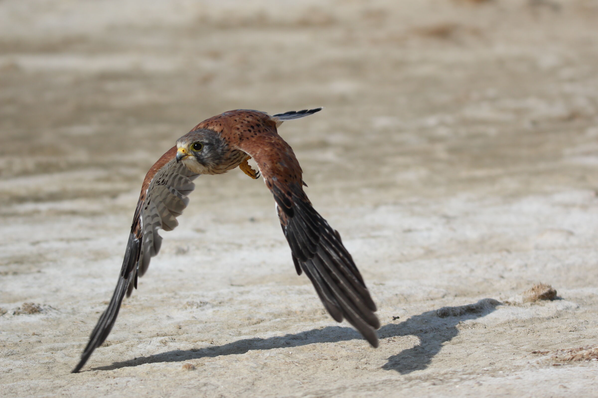 Overflight