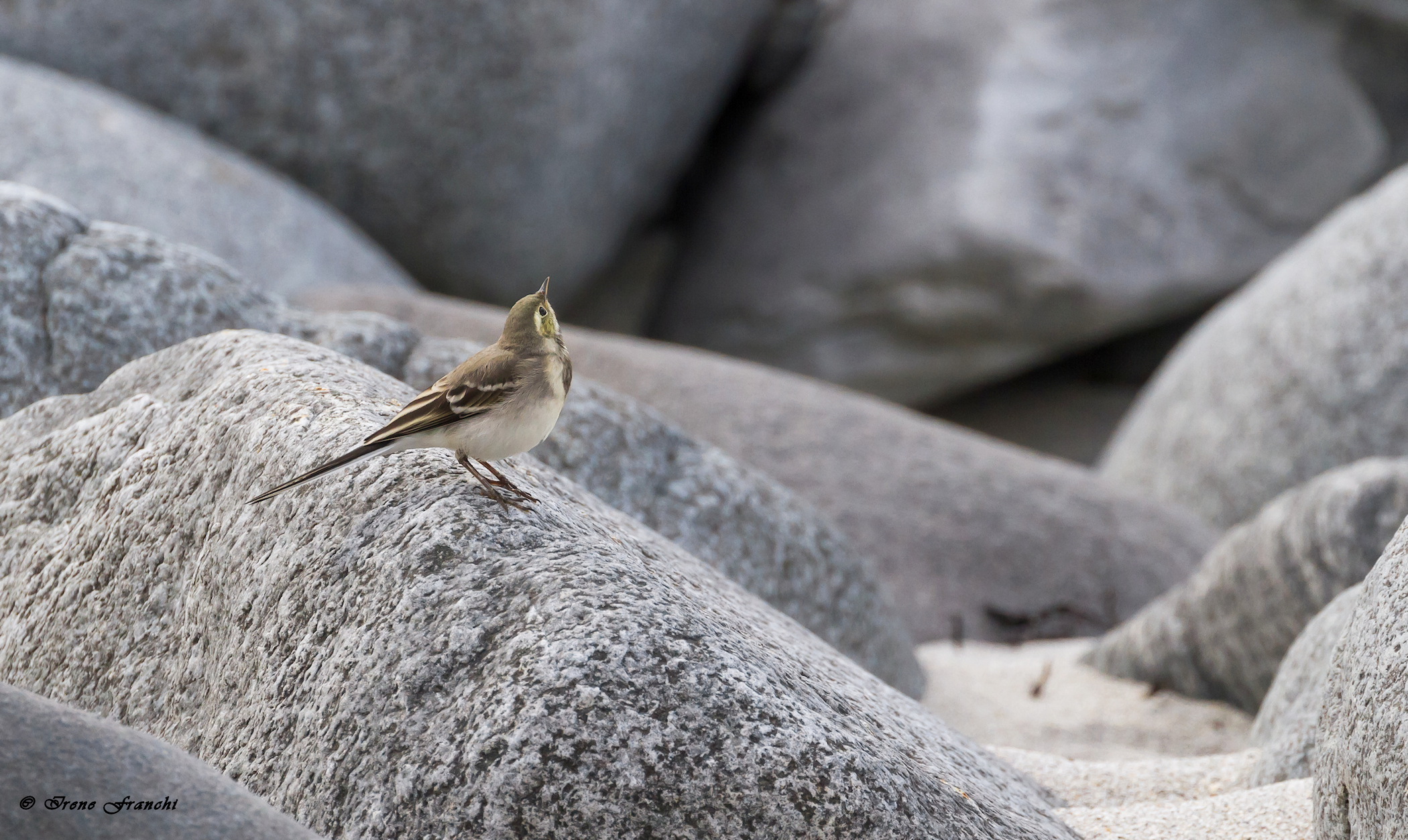 uno sguardo verso l'alto