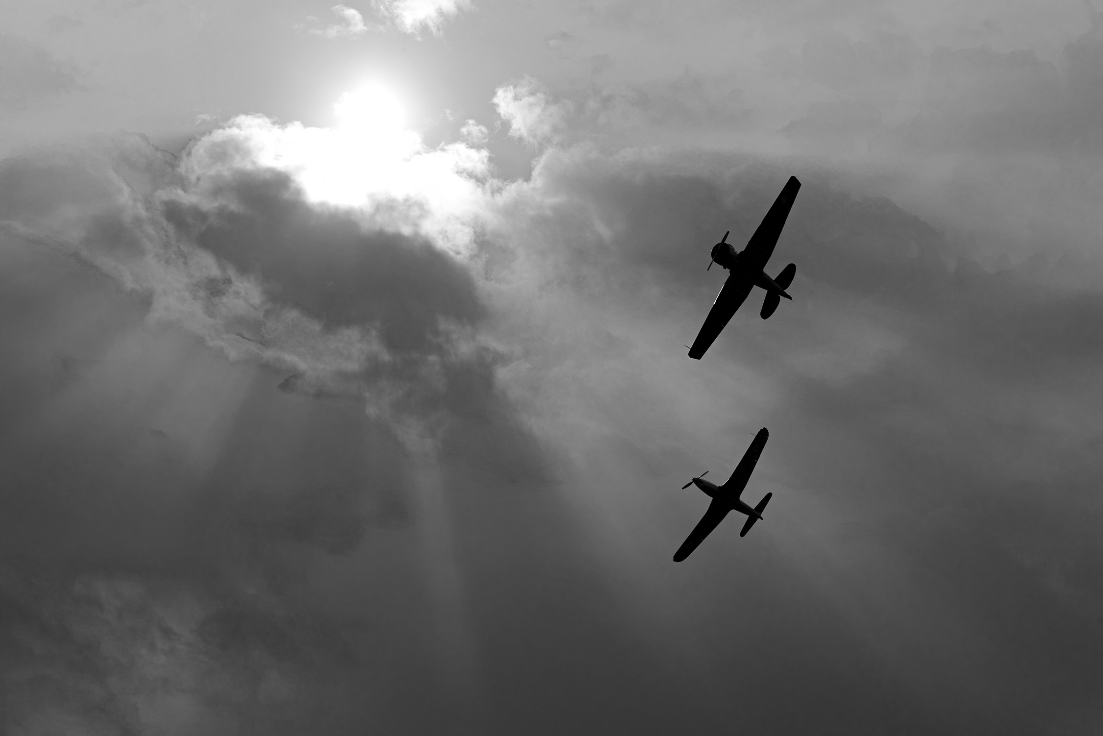 Der Himmel Eber Berlin