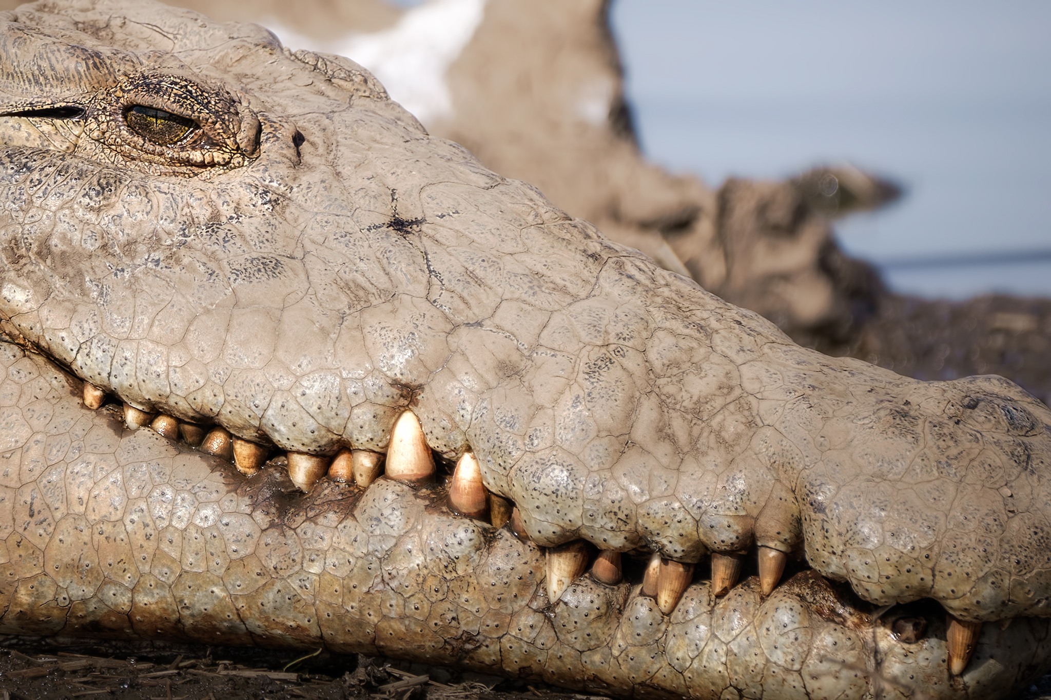 Deadly Smile, California