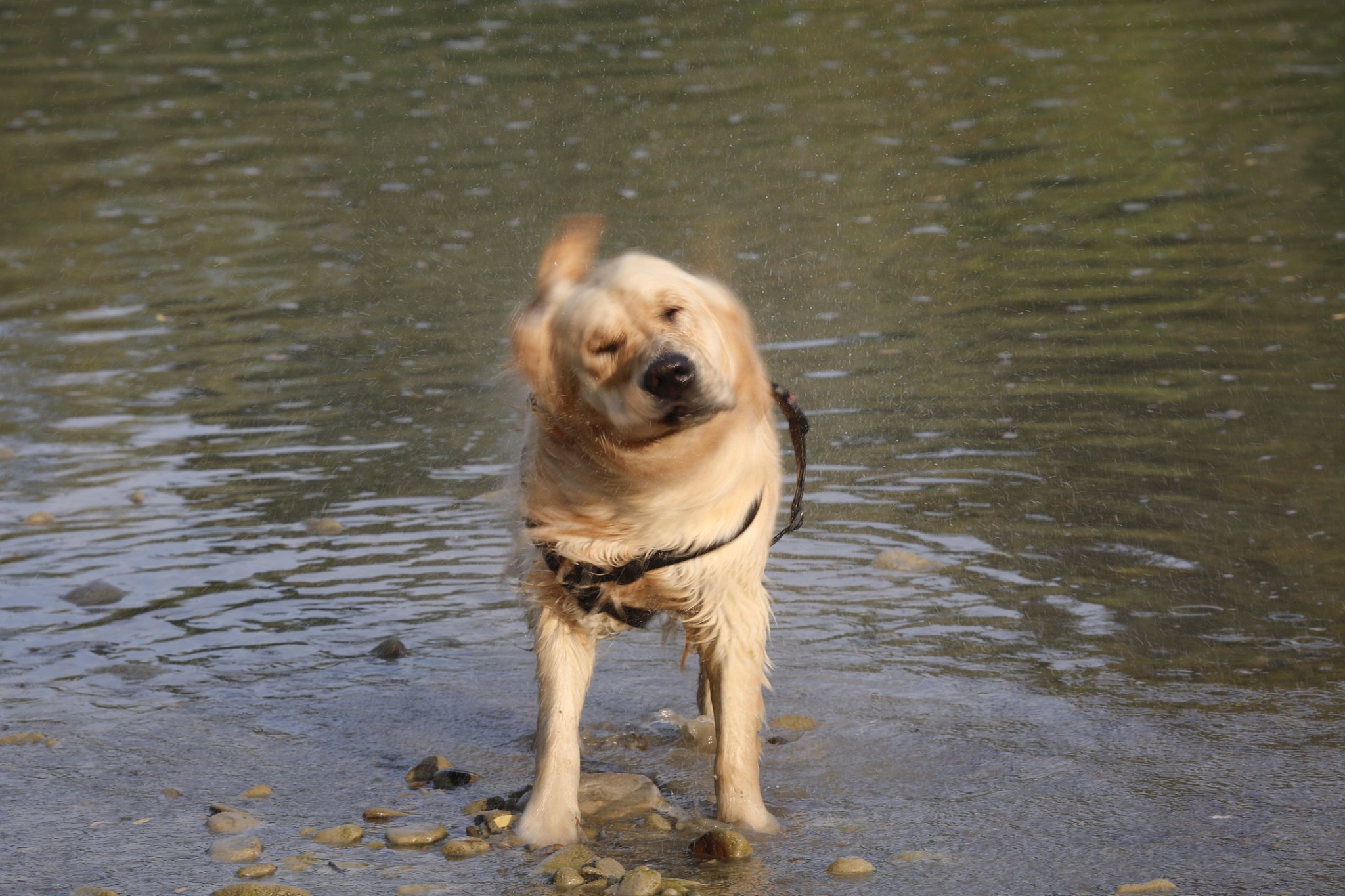 Lord Little John's shake-up