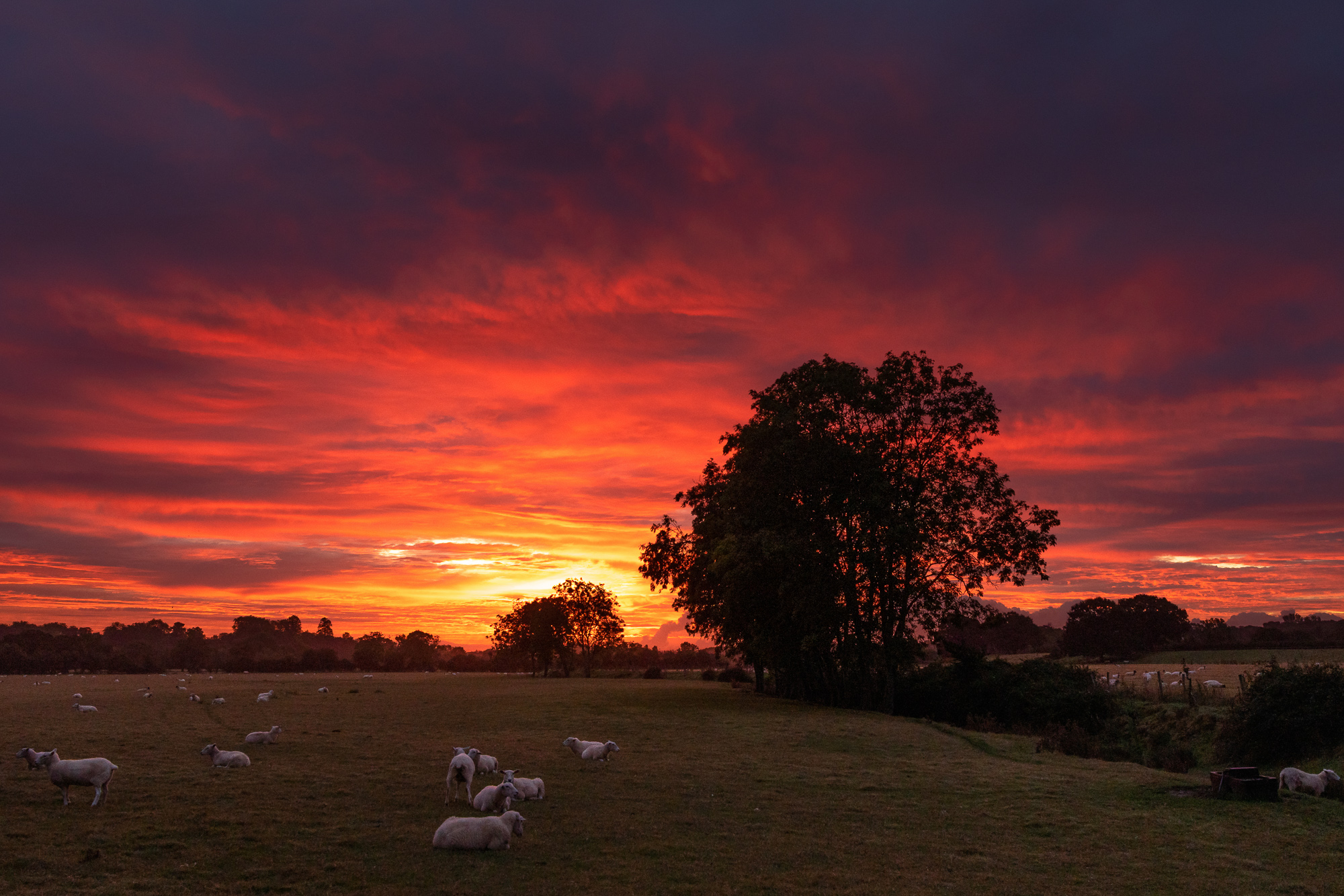 Cielo Rosso Al Mattino