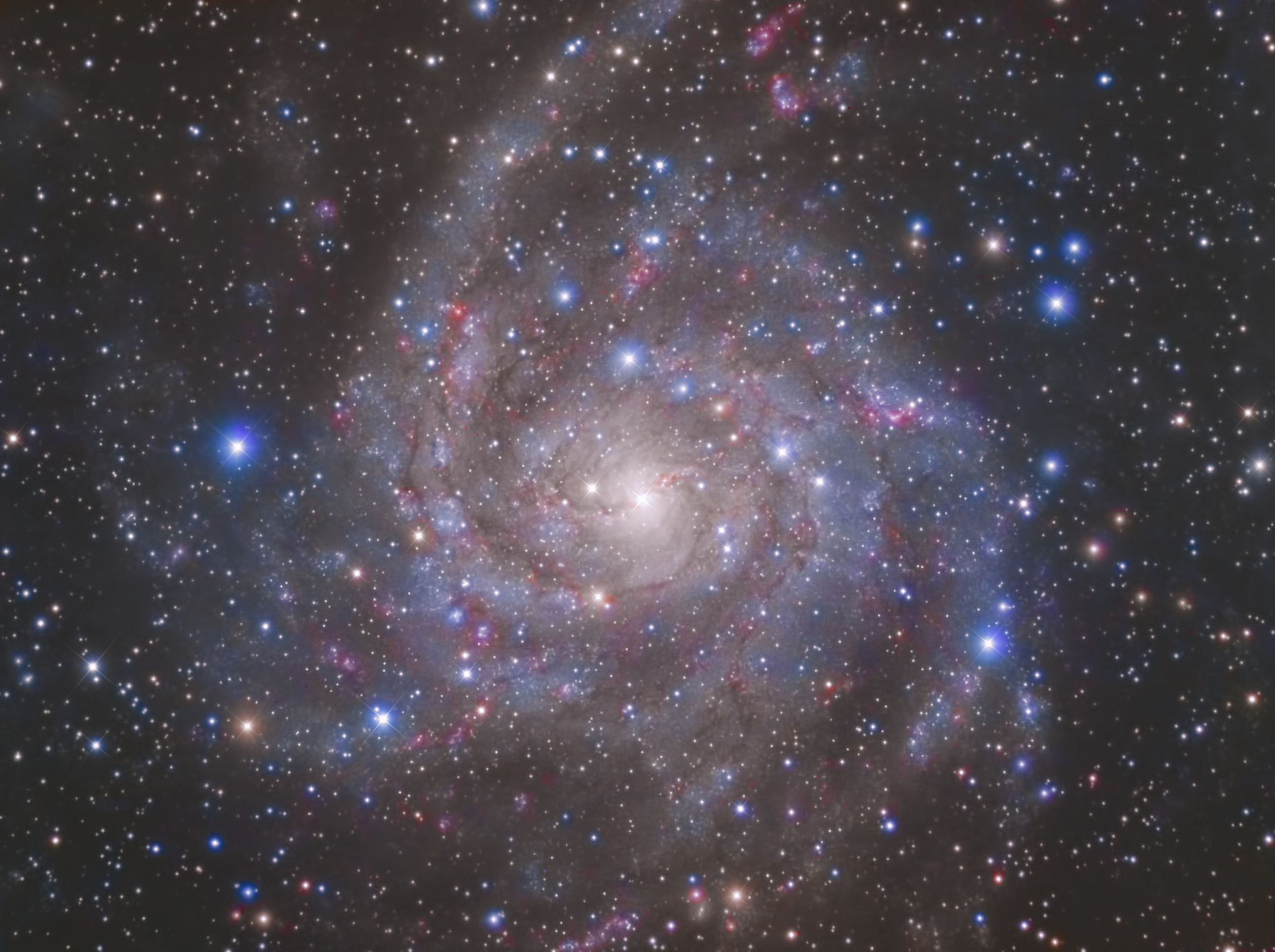IC 342 - Hidden Galaxy