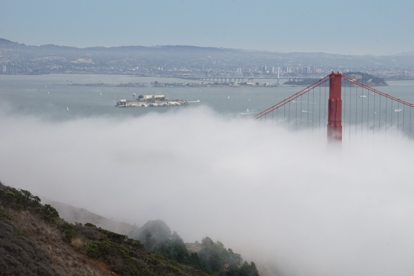 Golden Gate e Alcatraz