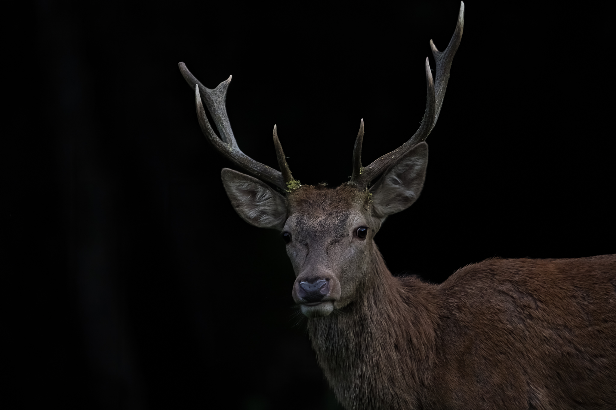 al campeggio per qualche primo piano al buio