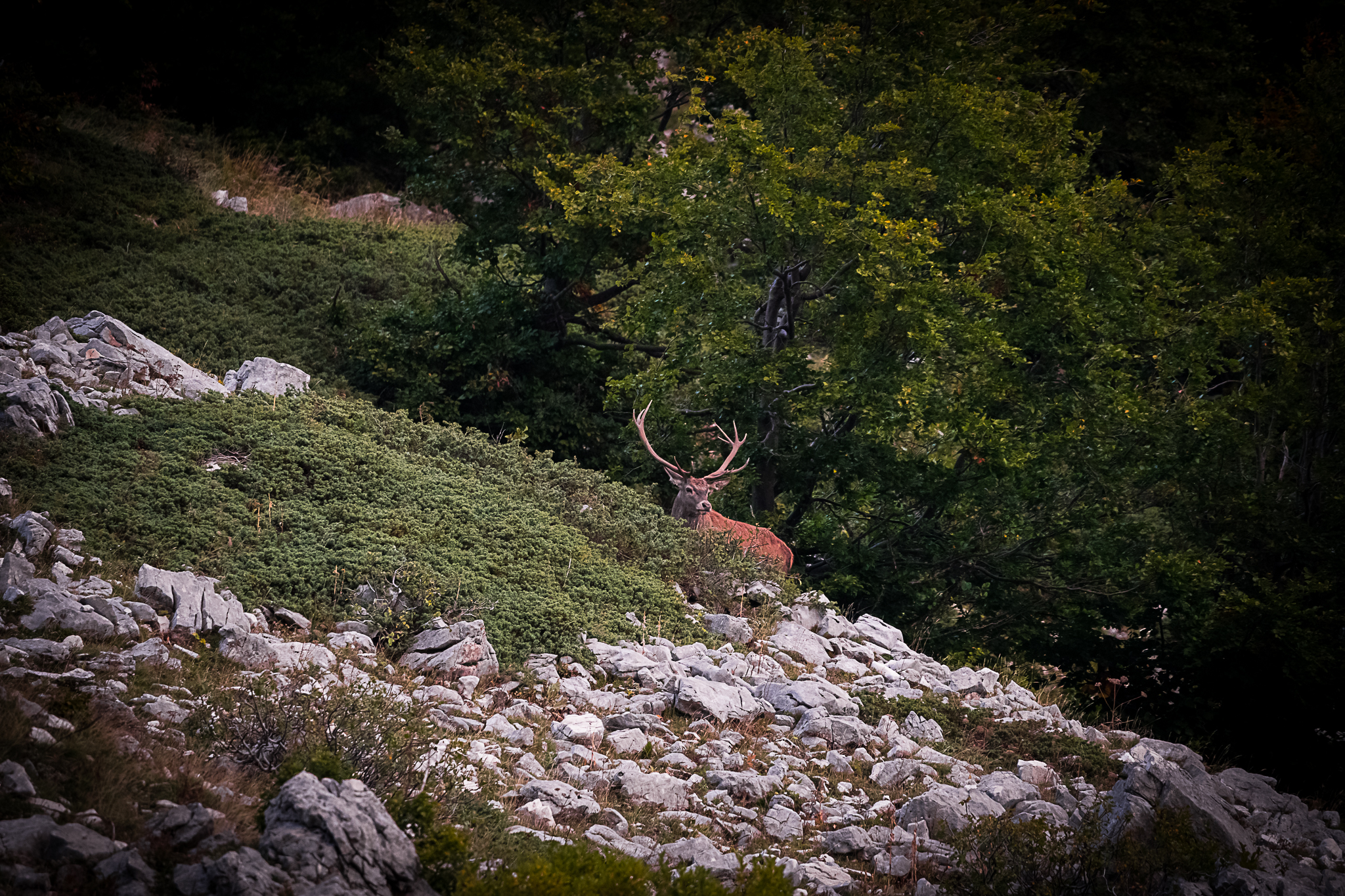 uno dei due si è nascosto male