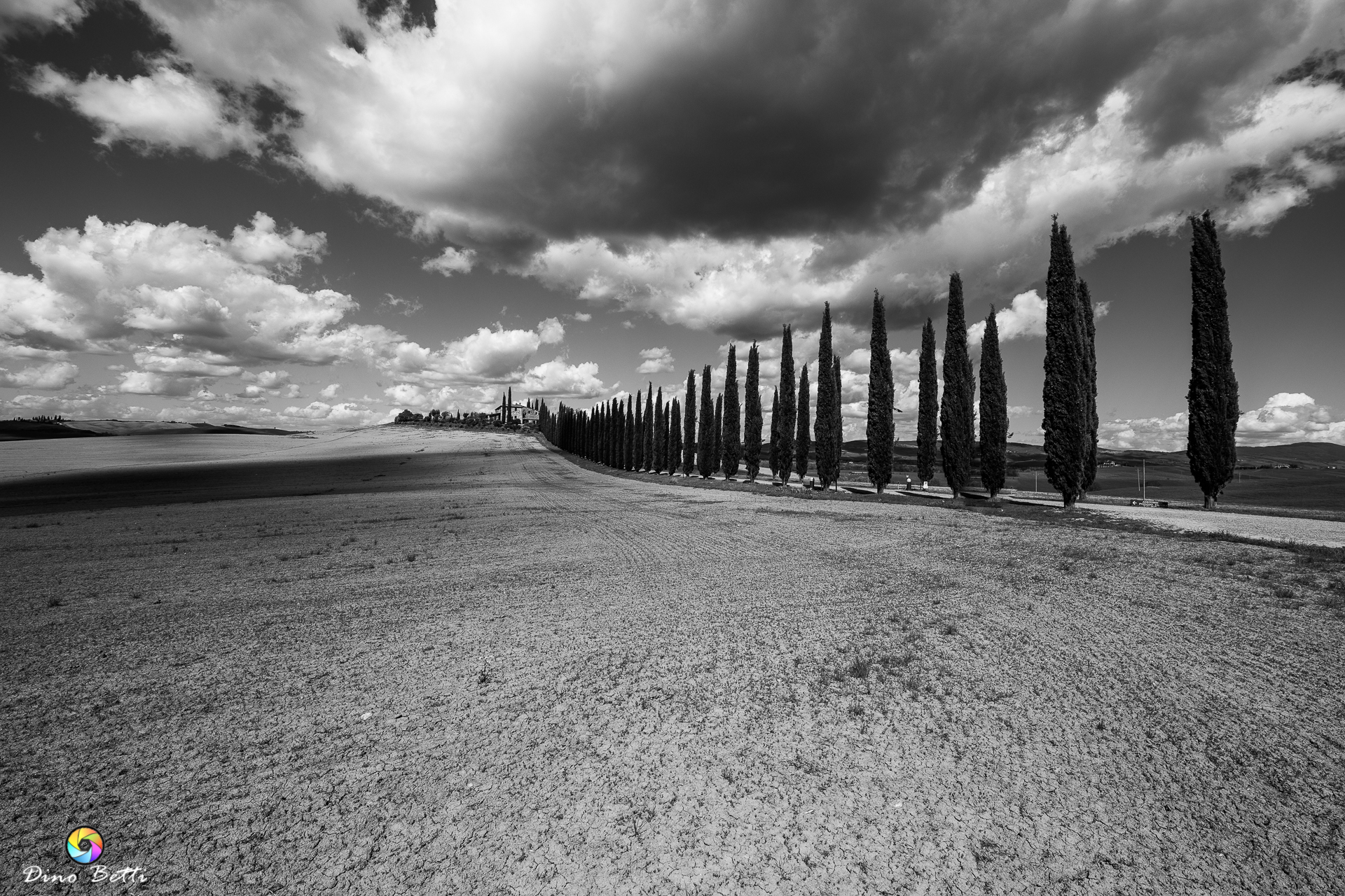 Untitled Photo