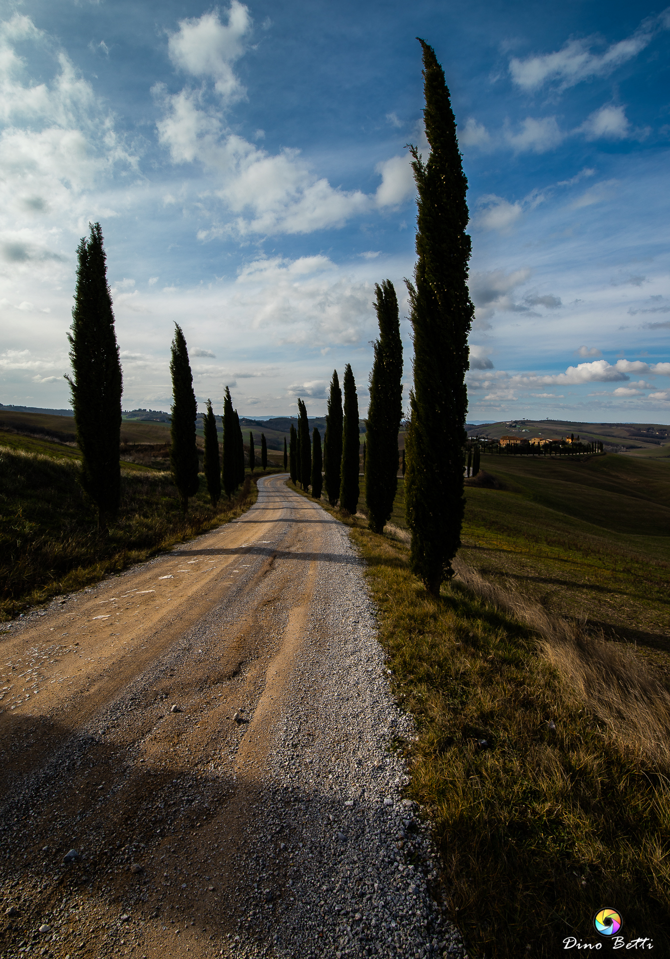 Untitled Photo