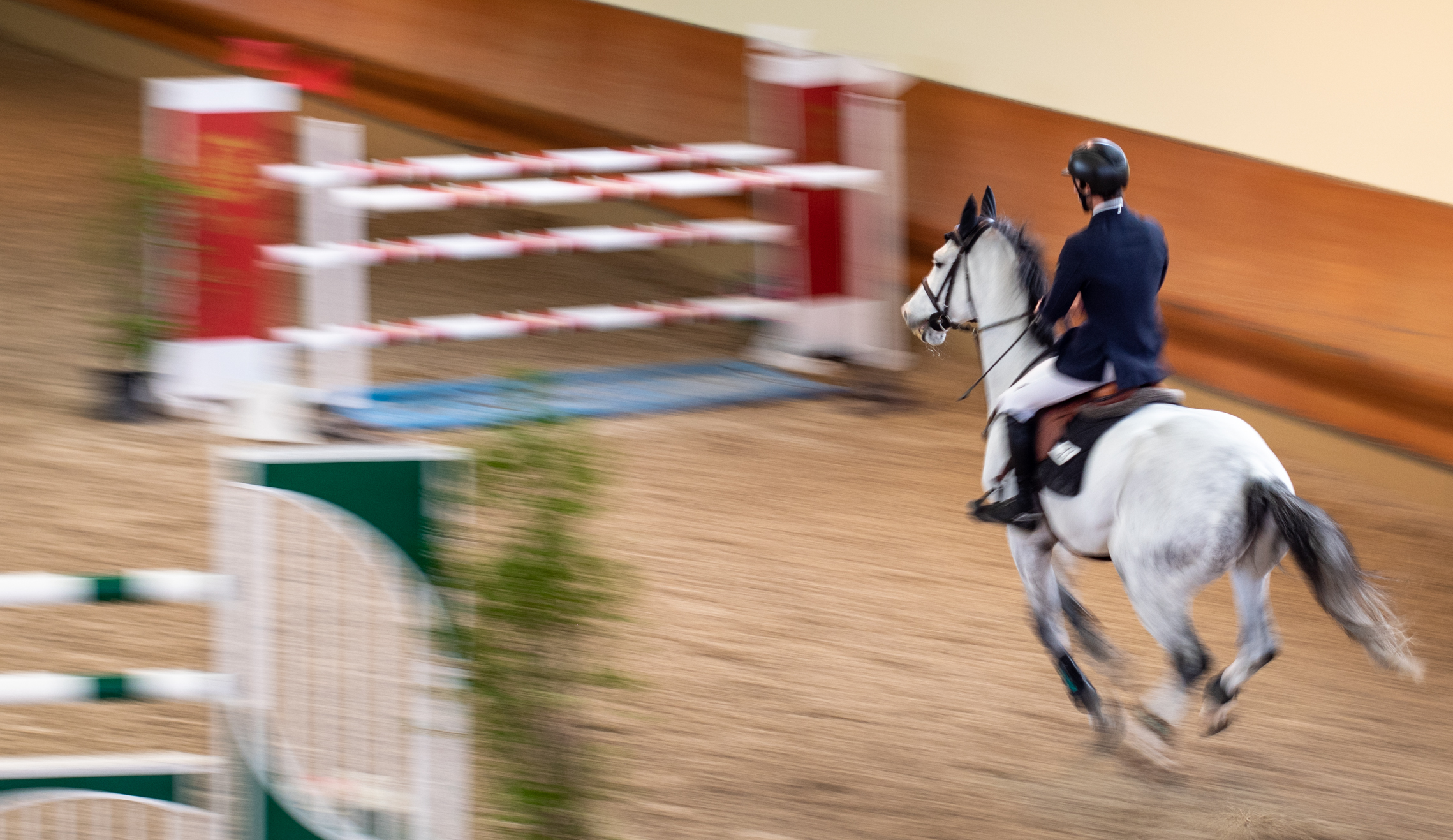 A day at the stables