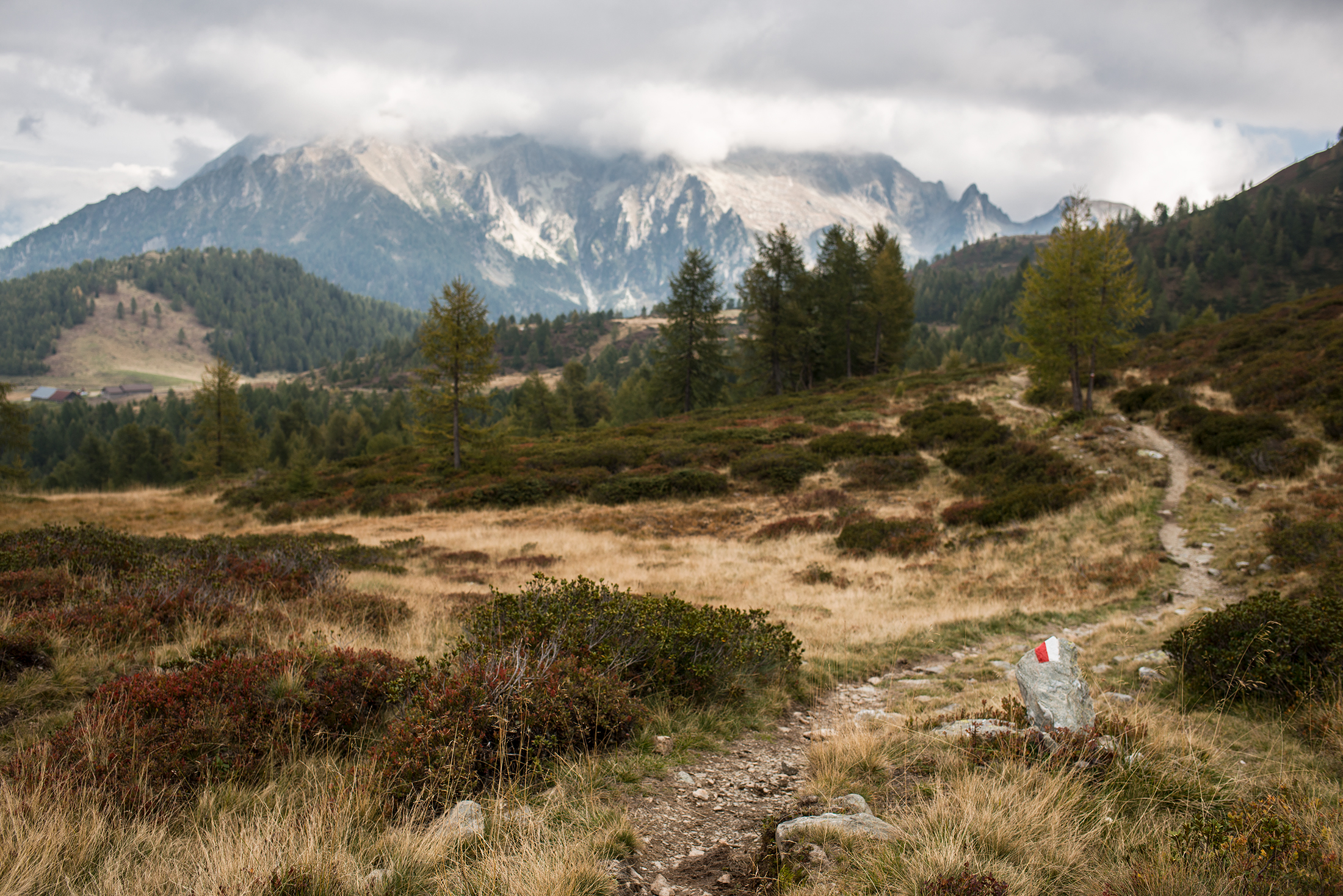 Direzione Passo 5 Crosi