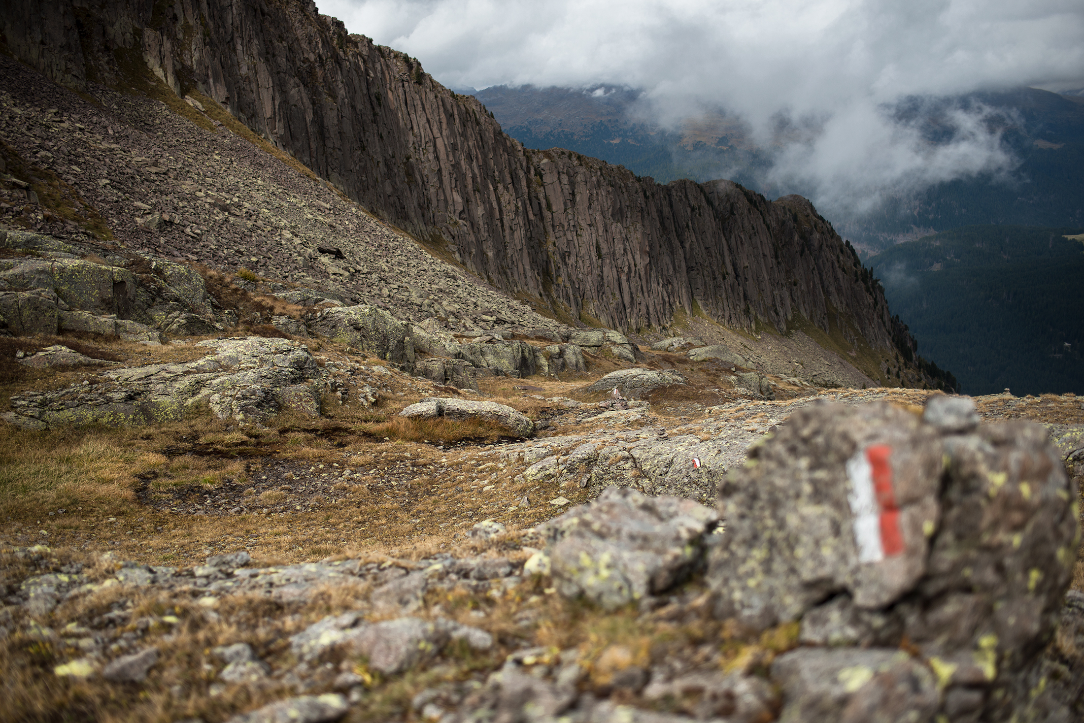 Scendendo da Col Bricon