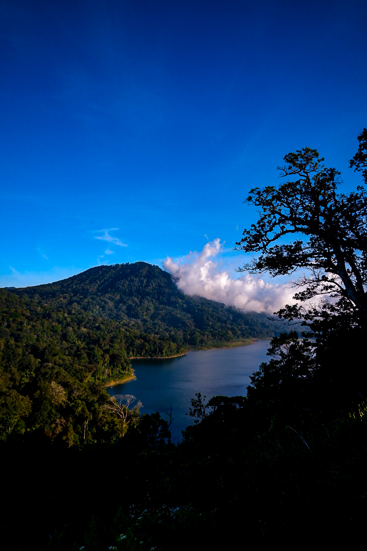 Bali
