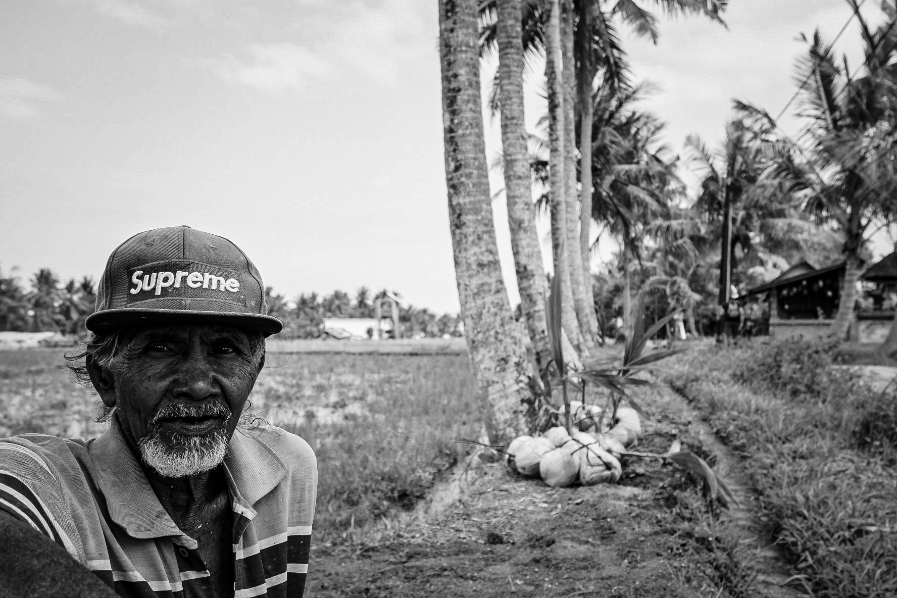 Bali people