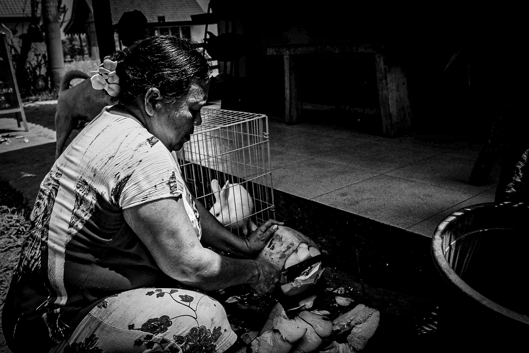 Bali people