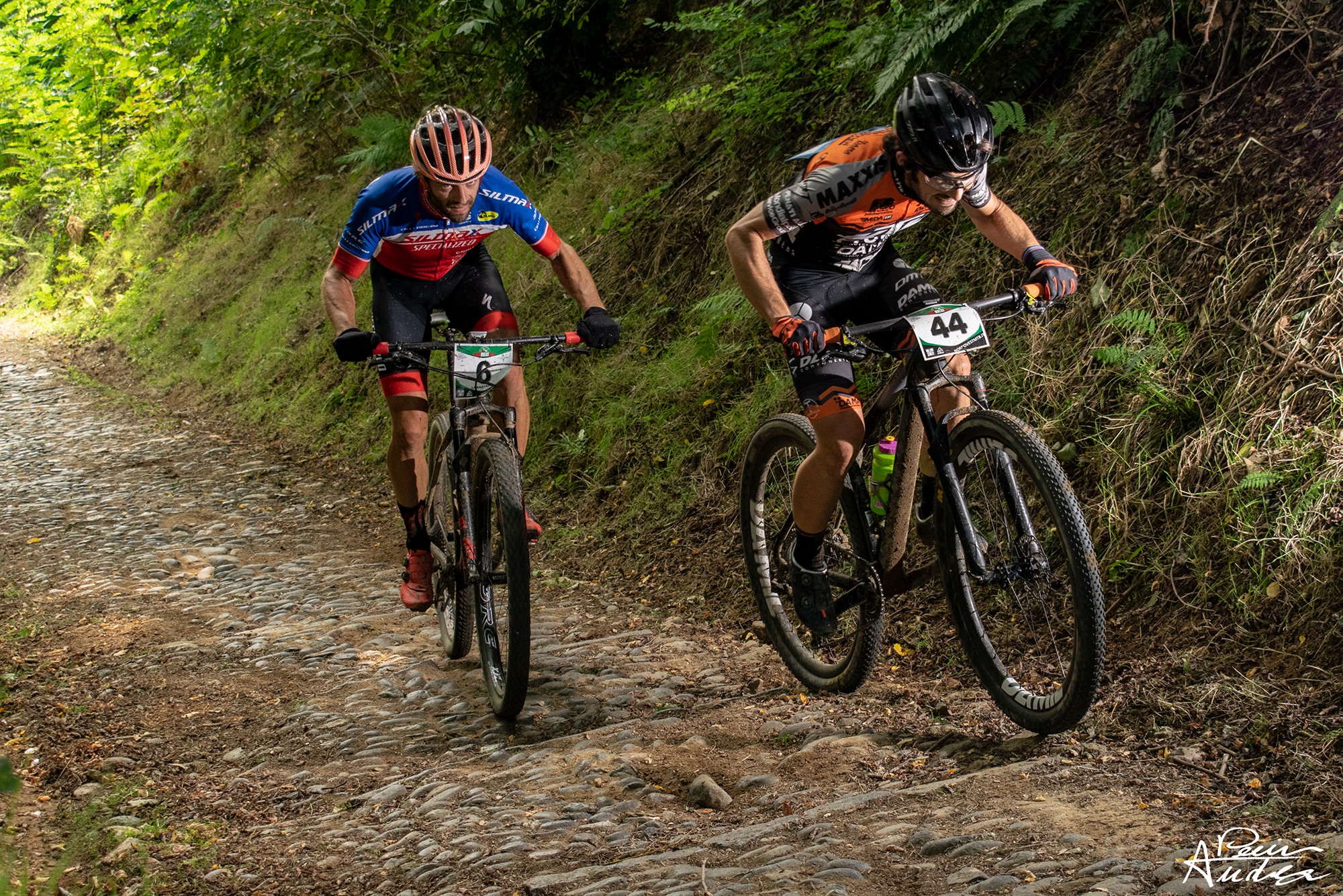 the battle for the podium