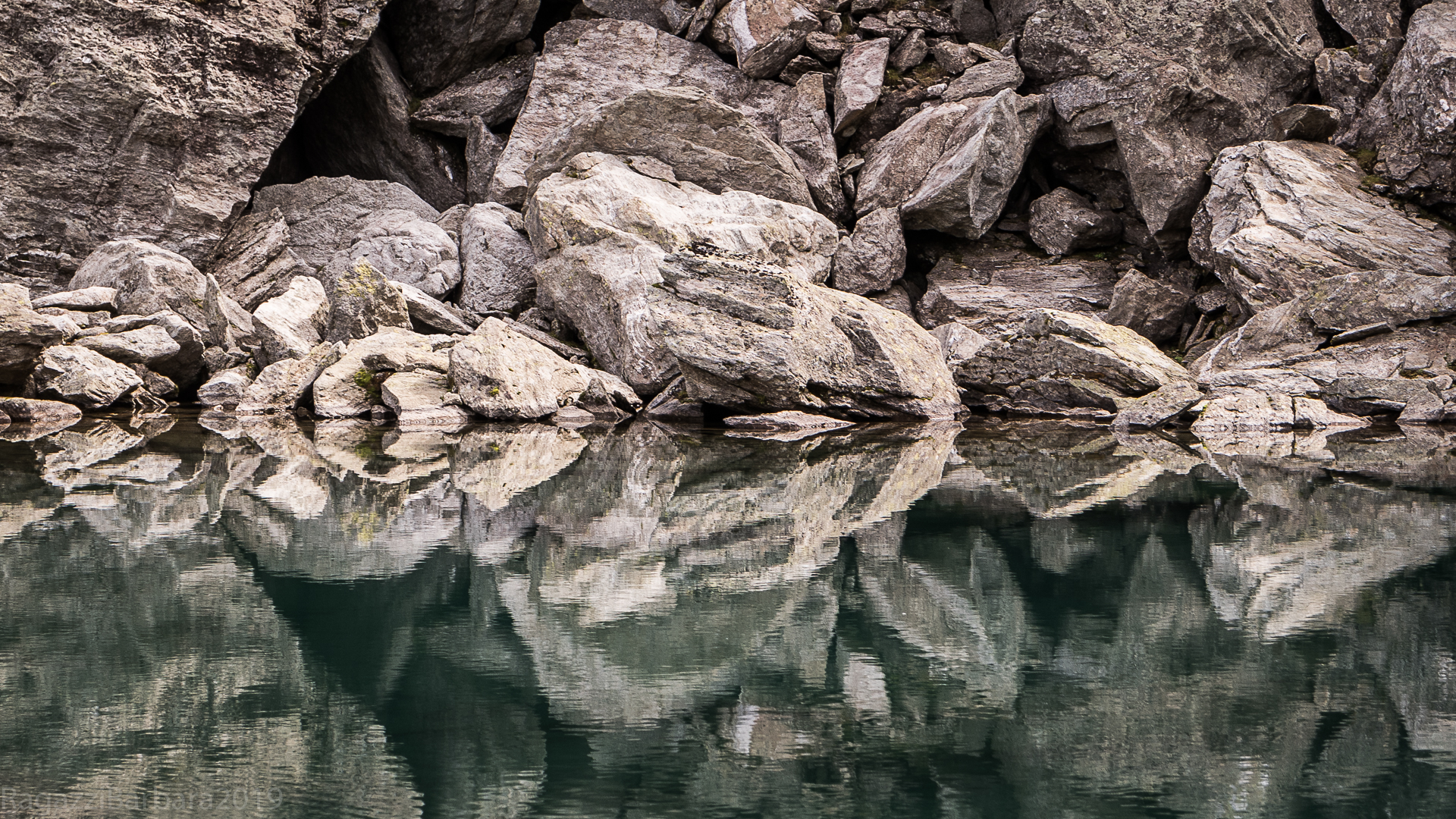 Reflections at Lake Tailly