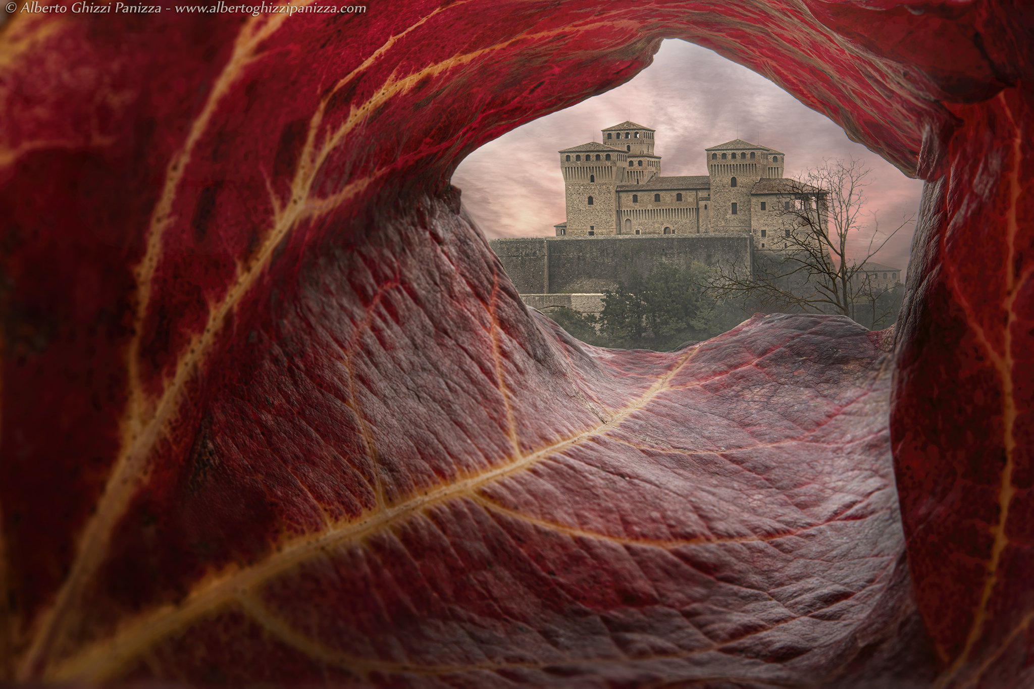 Prospettive autunnali