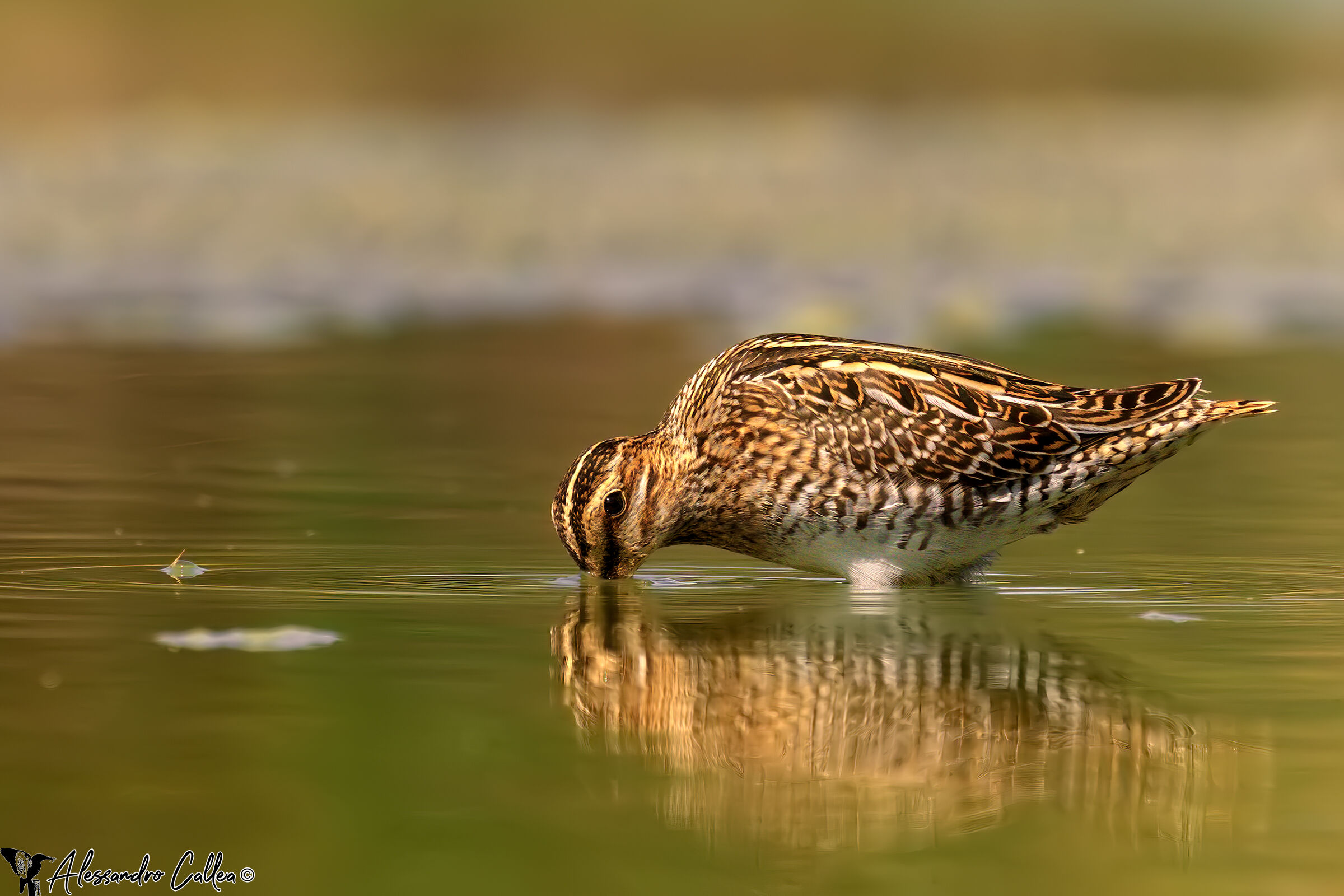 Una bevutina e si riparte...