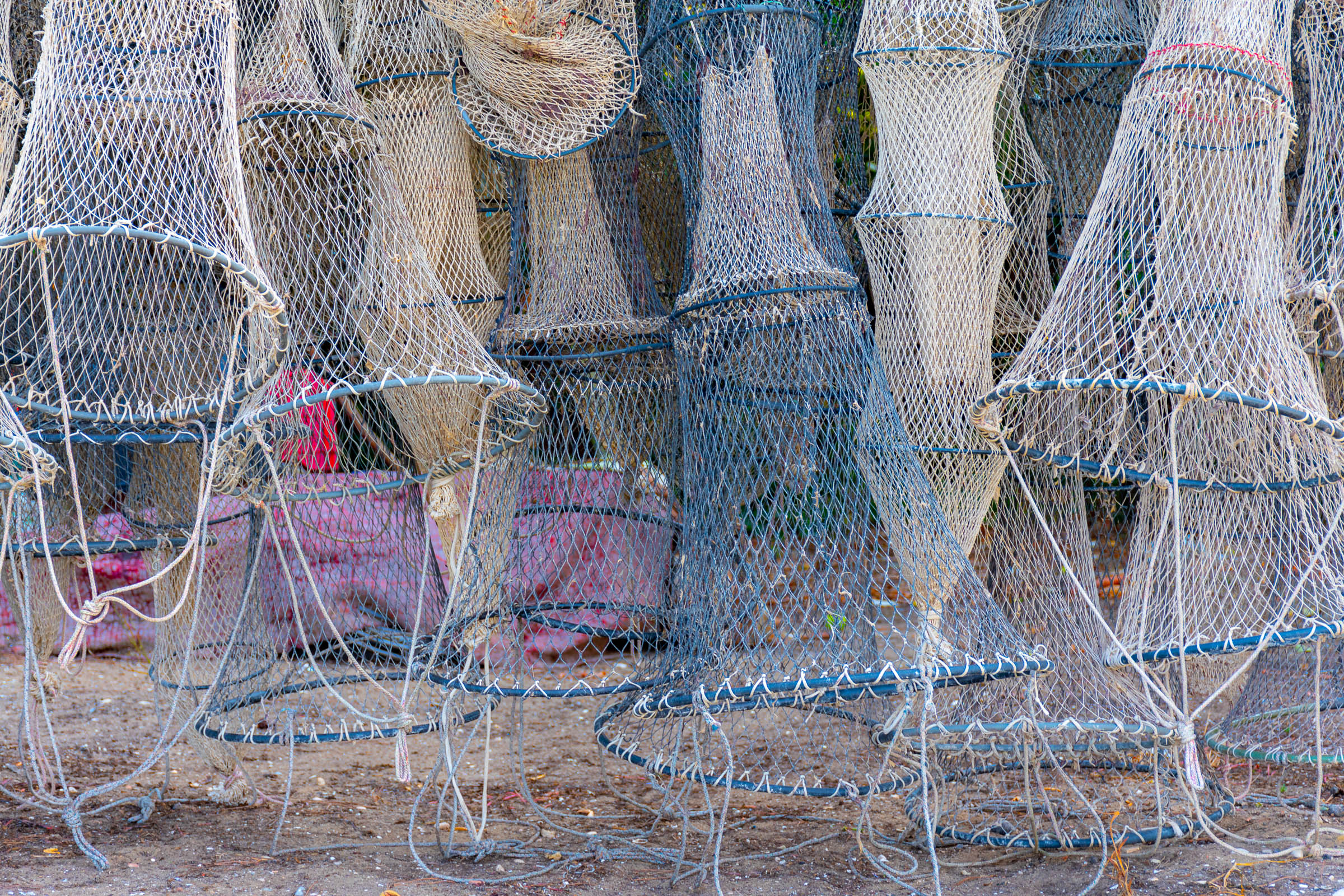 Reti da pesca ad asciugare