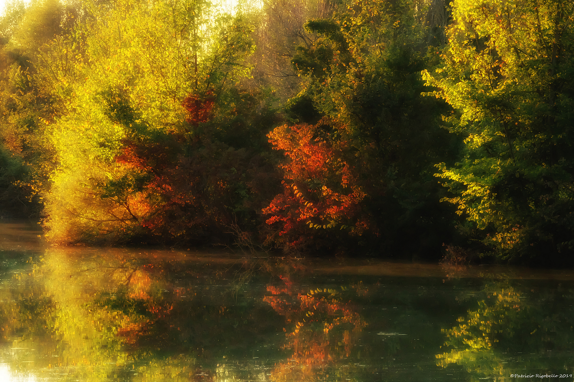 Autunno lungo il fiume