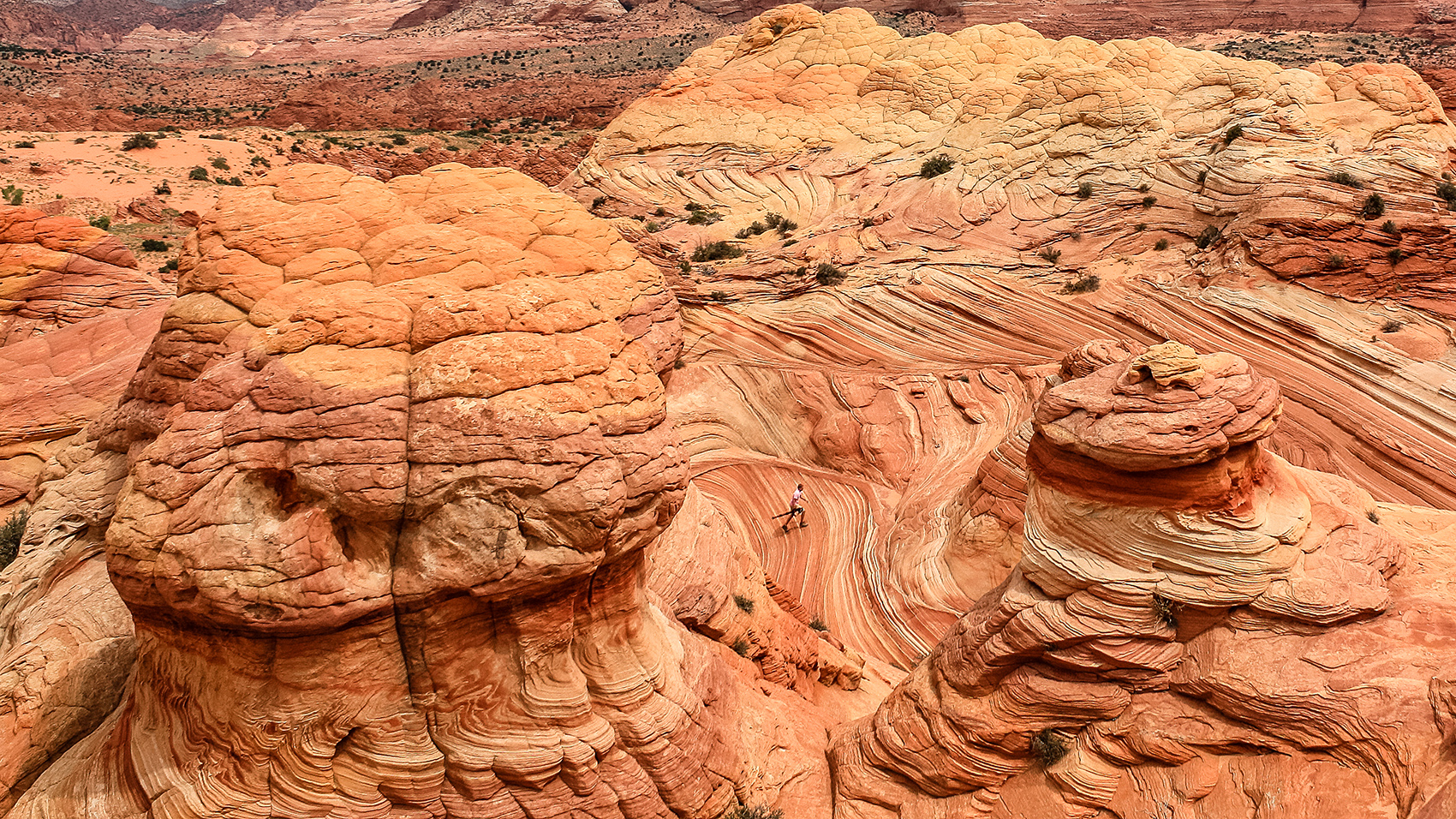 Coyote Buttes North, the Brain.