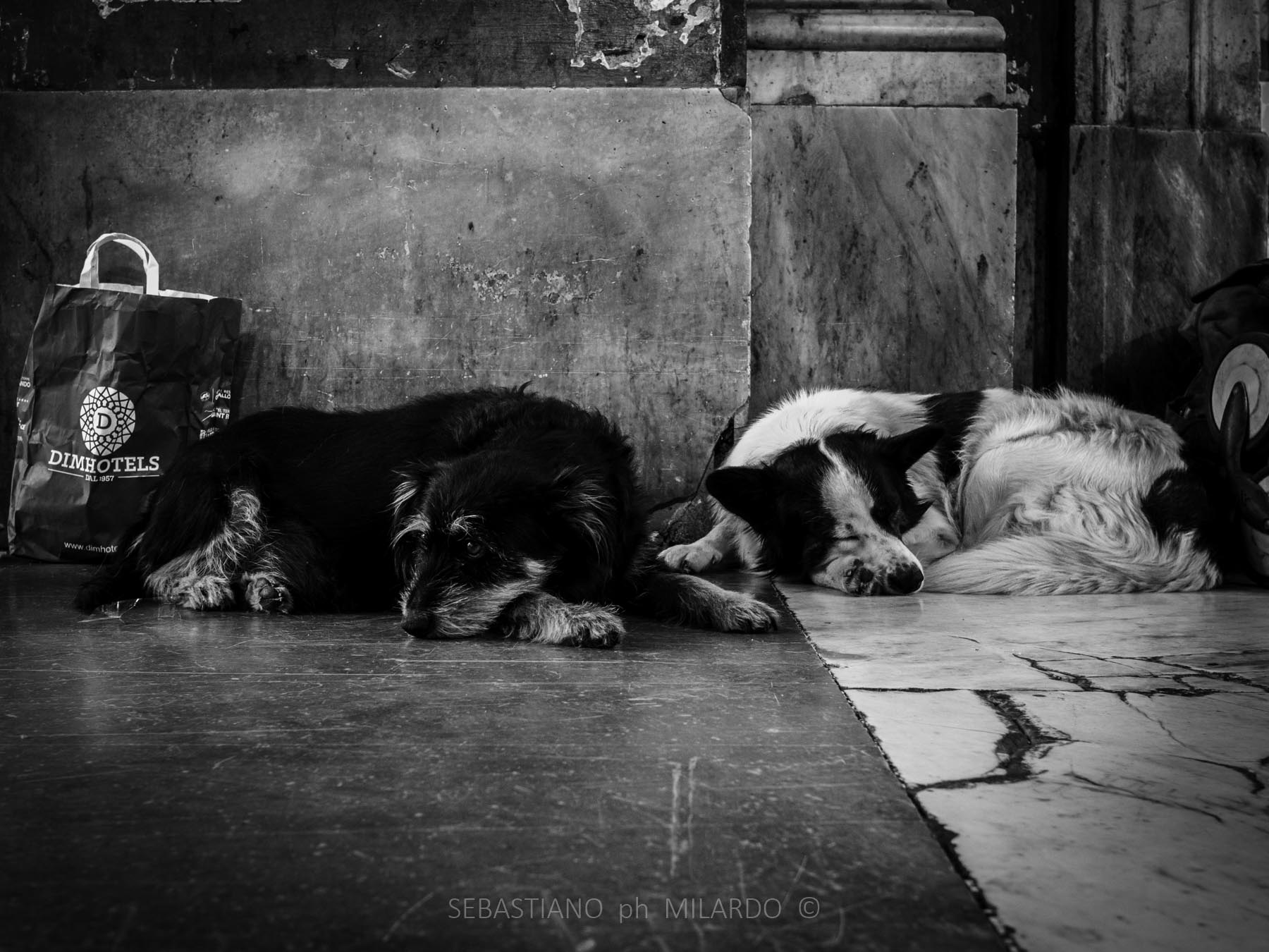 Untitled Love Portrait