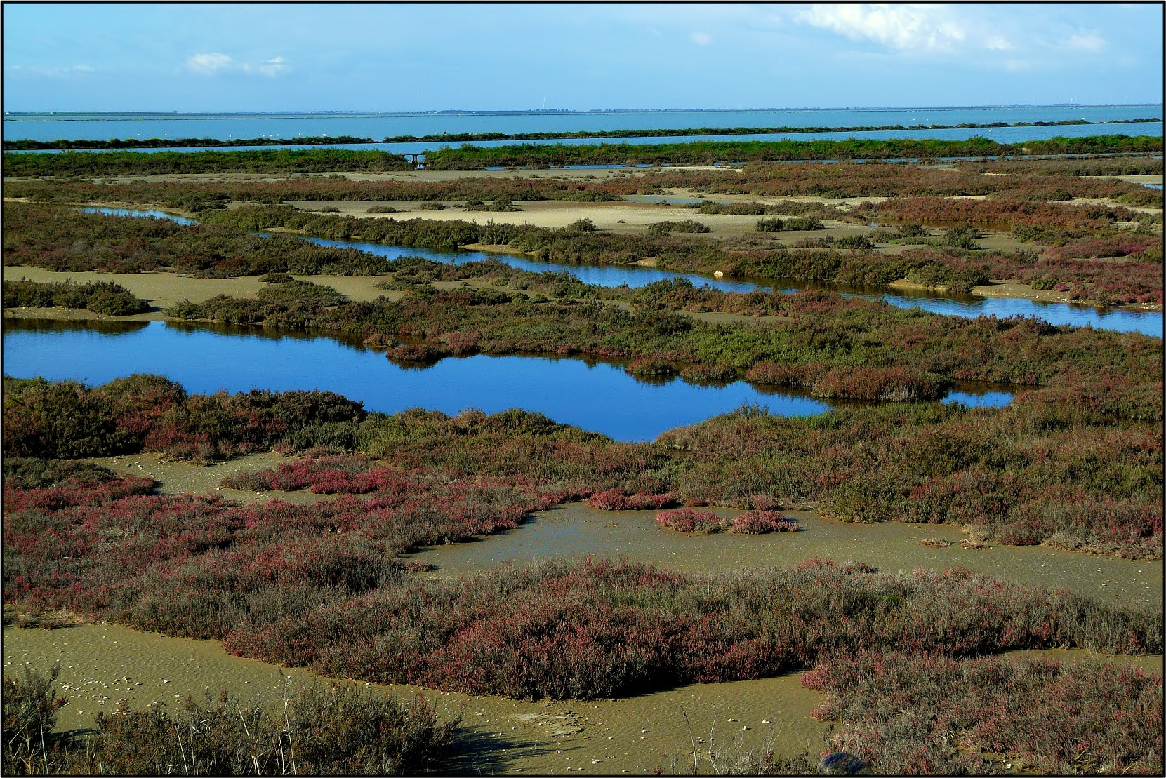 Marshes Sipontine