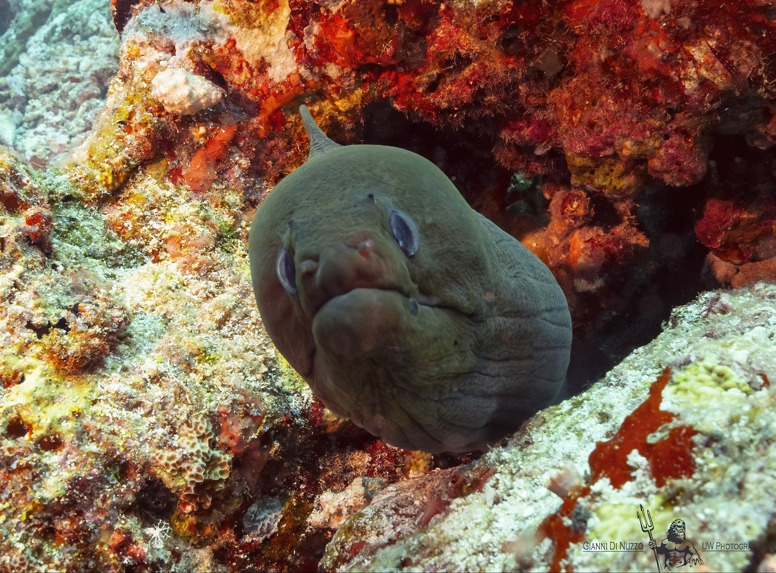 What are you looking at?