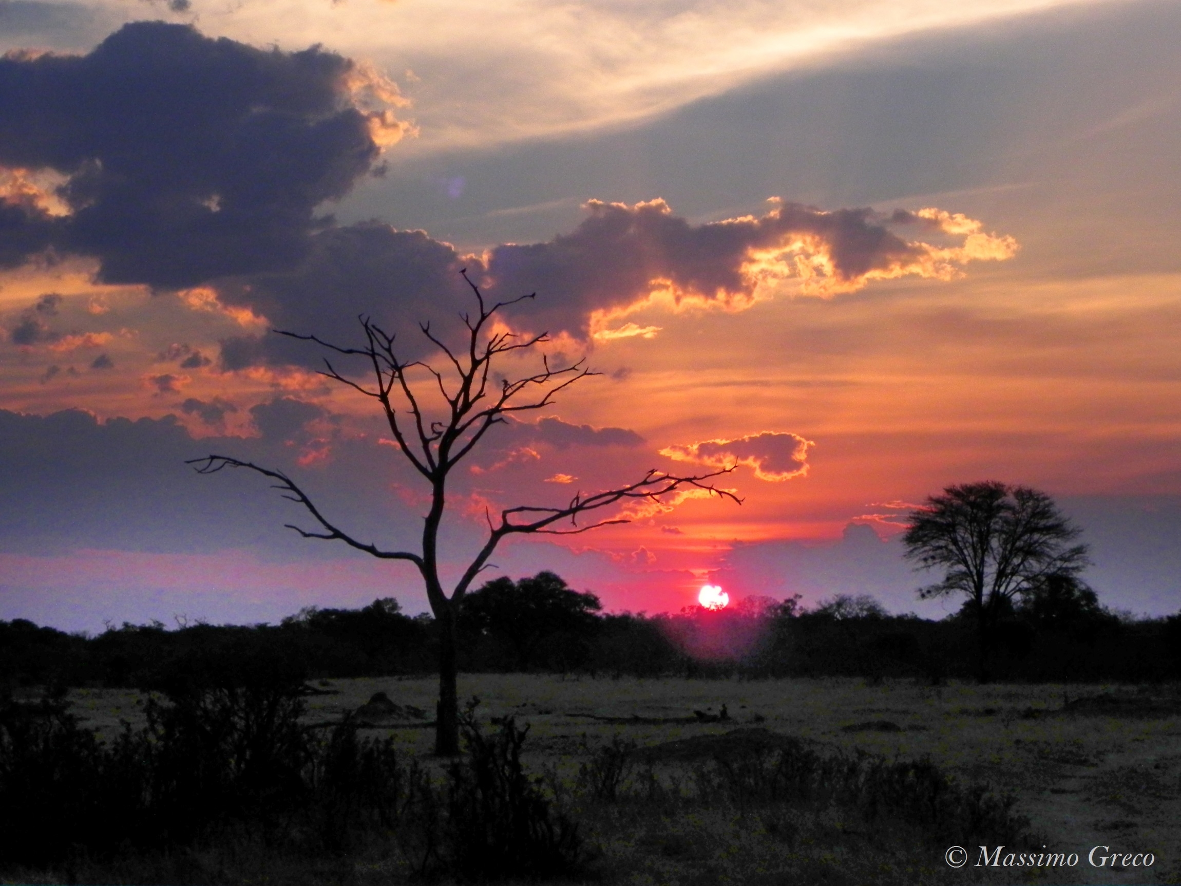 Unforgettable sunsets -Hwange Nat. Park - Zimbabwe
