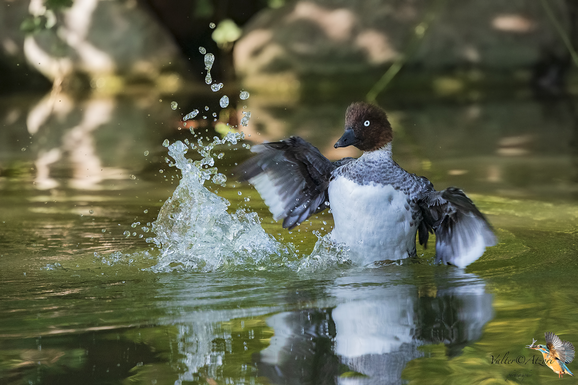 piccolo di Moriglione