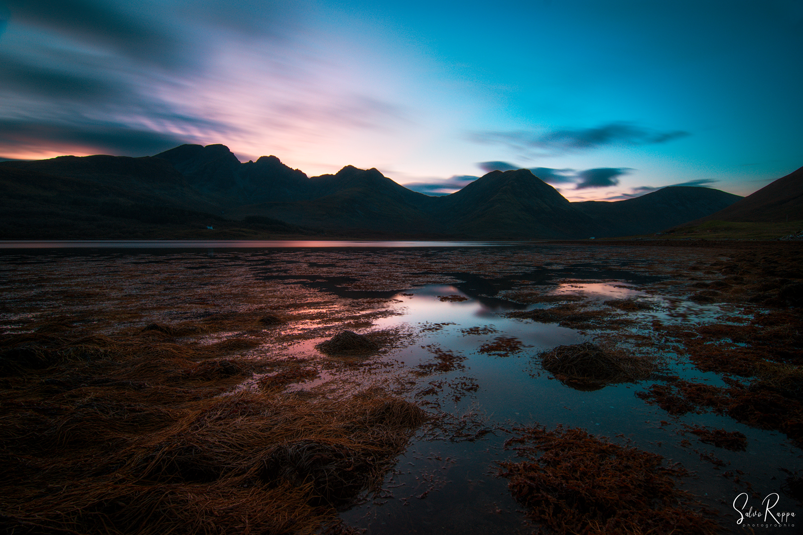 The first last lights....