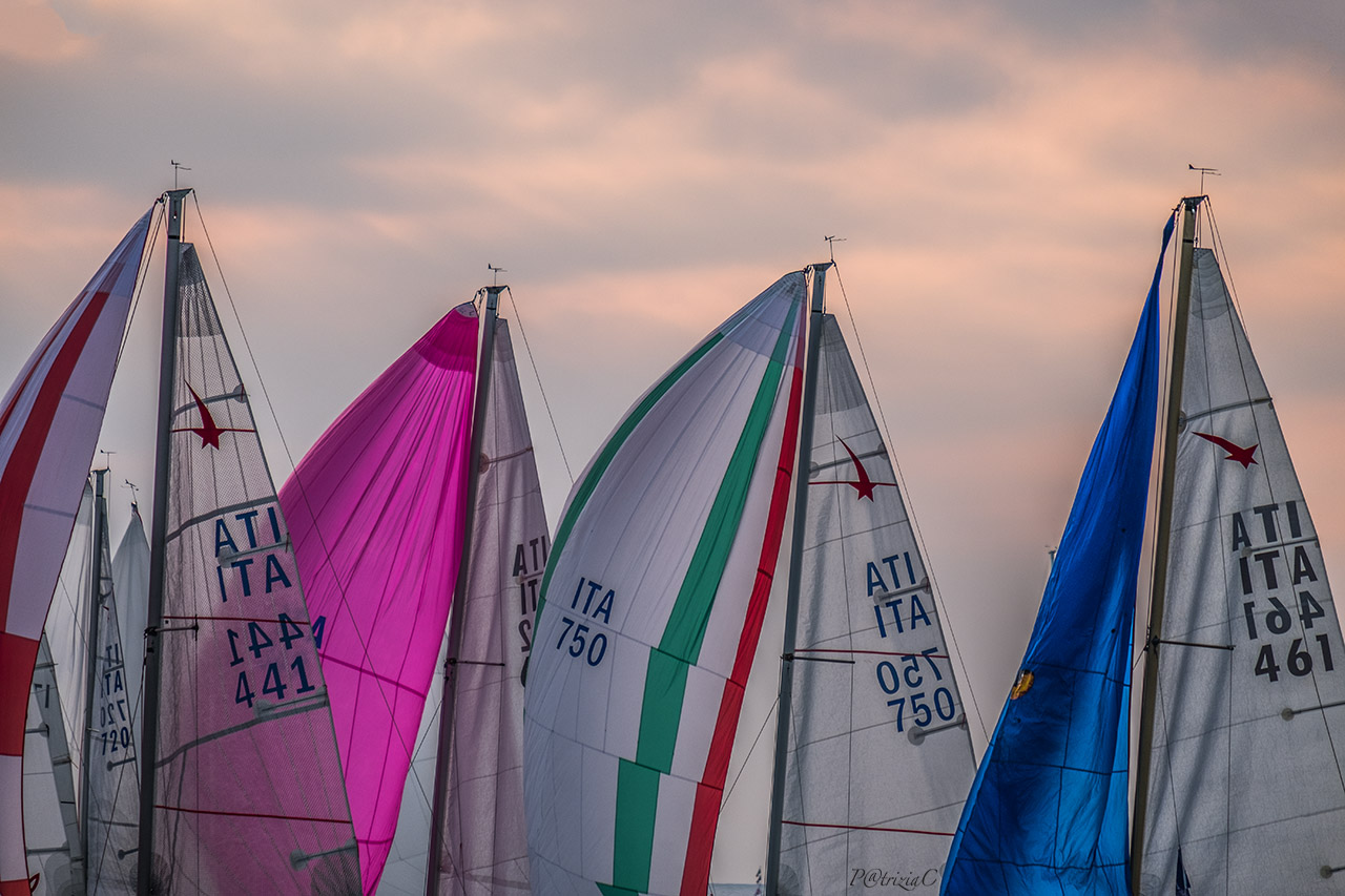 __Barcolana51__ (Trieste) 2