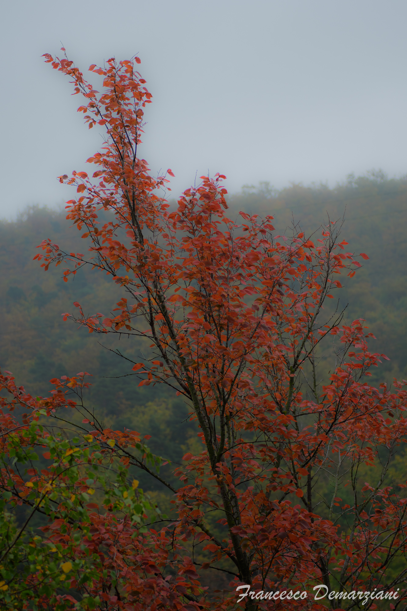Autunno in Valle Bormida