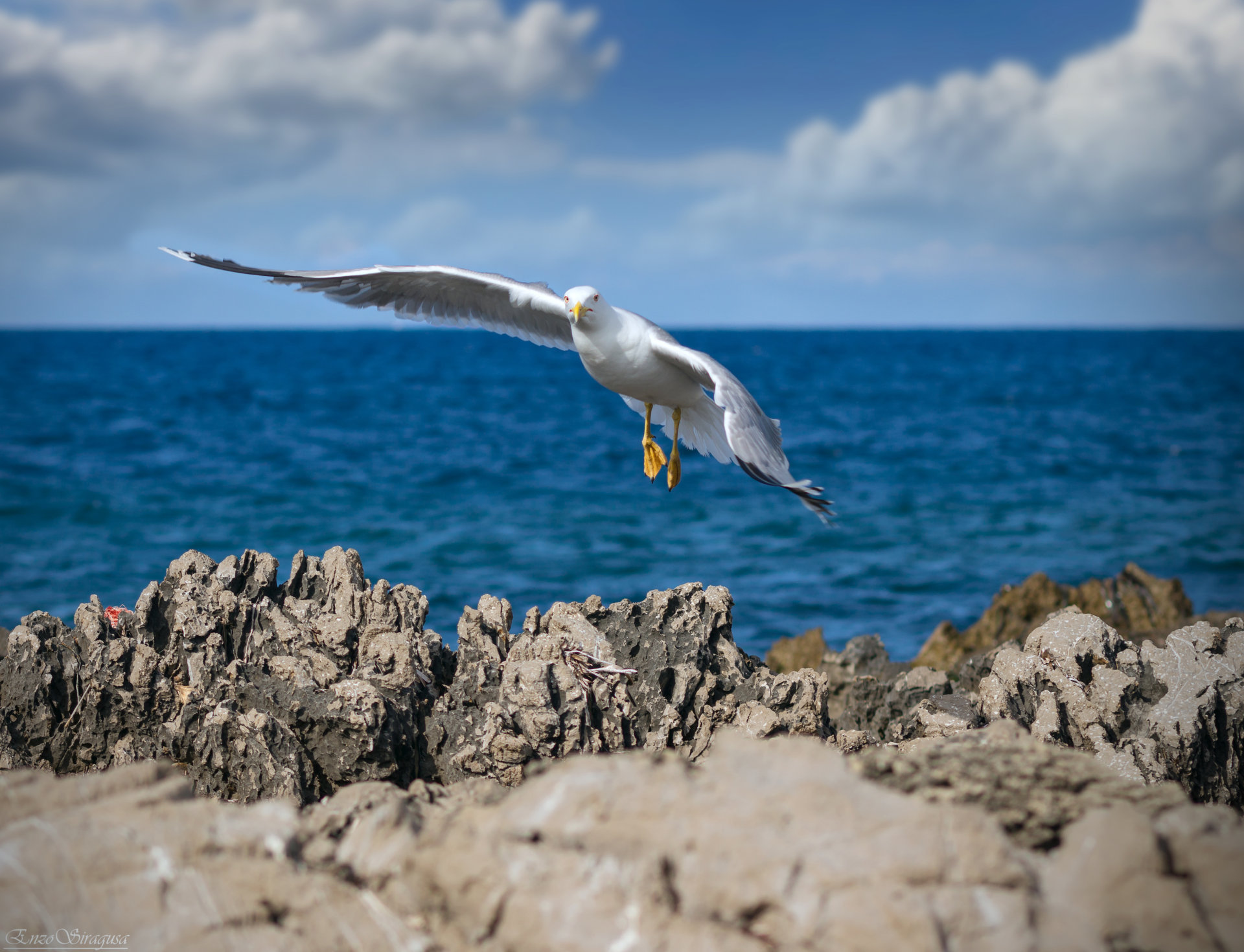 Freedom without limits