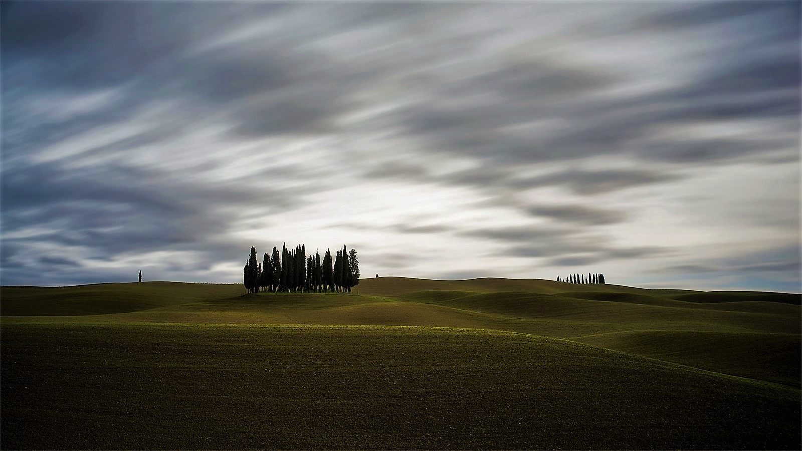 Cypress