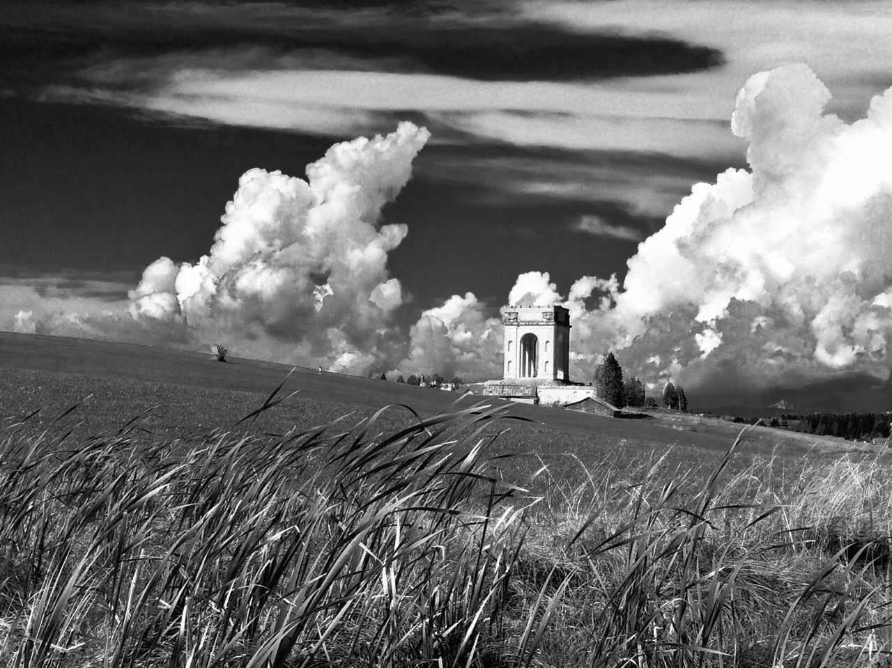 A m o r e - T u r b o - L e n t o