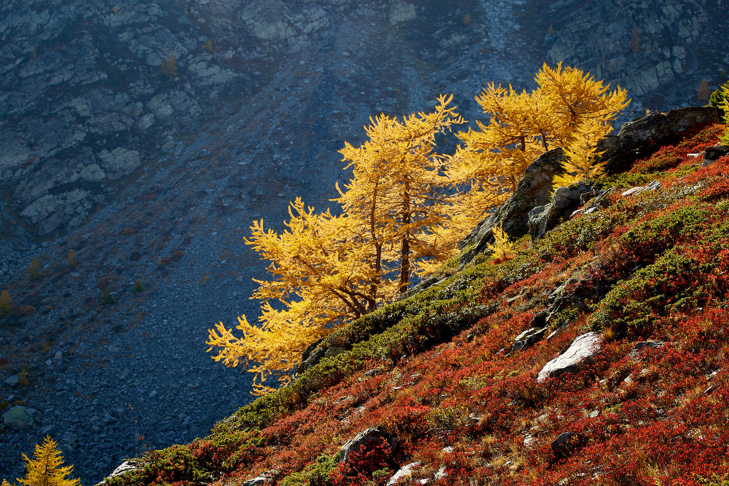 Autunno al lago d'Arpy