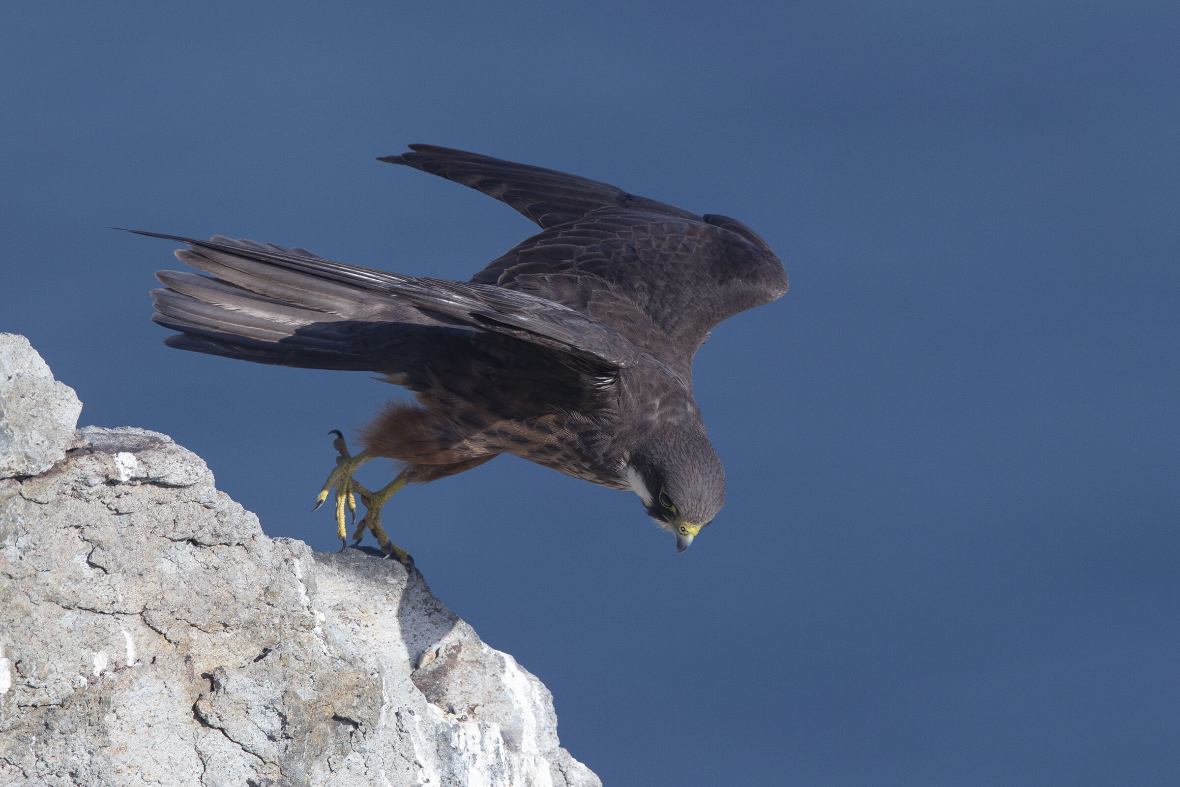 On the edge of deep blue