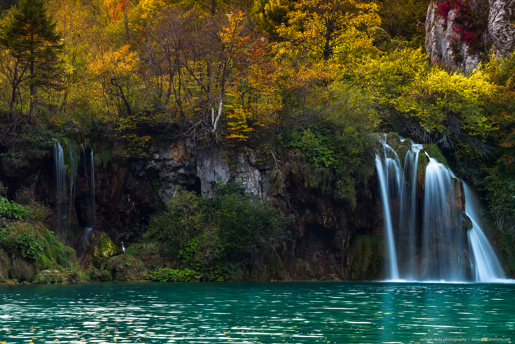 The magic of autumn