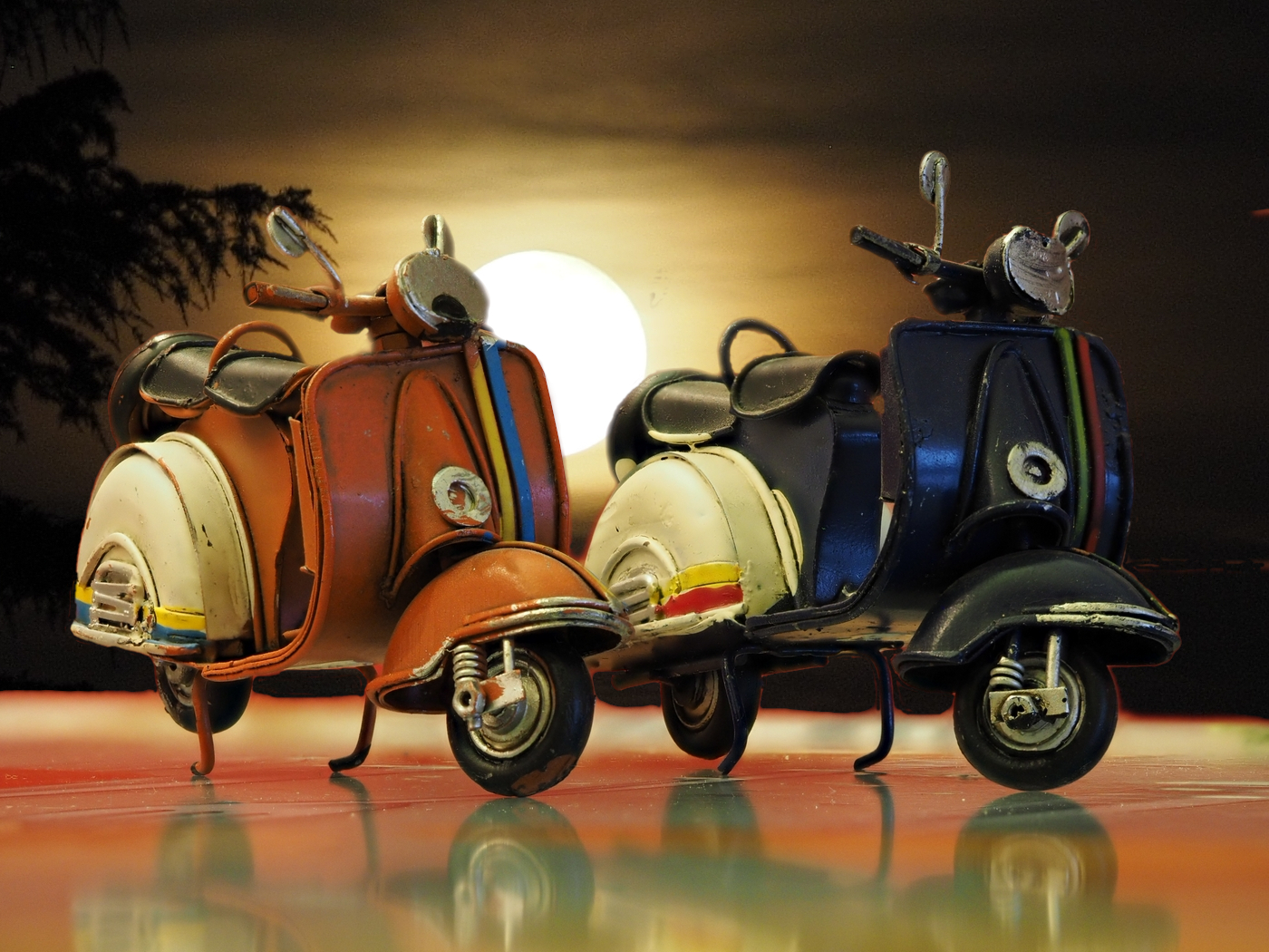 Wasps in the moonlight